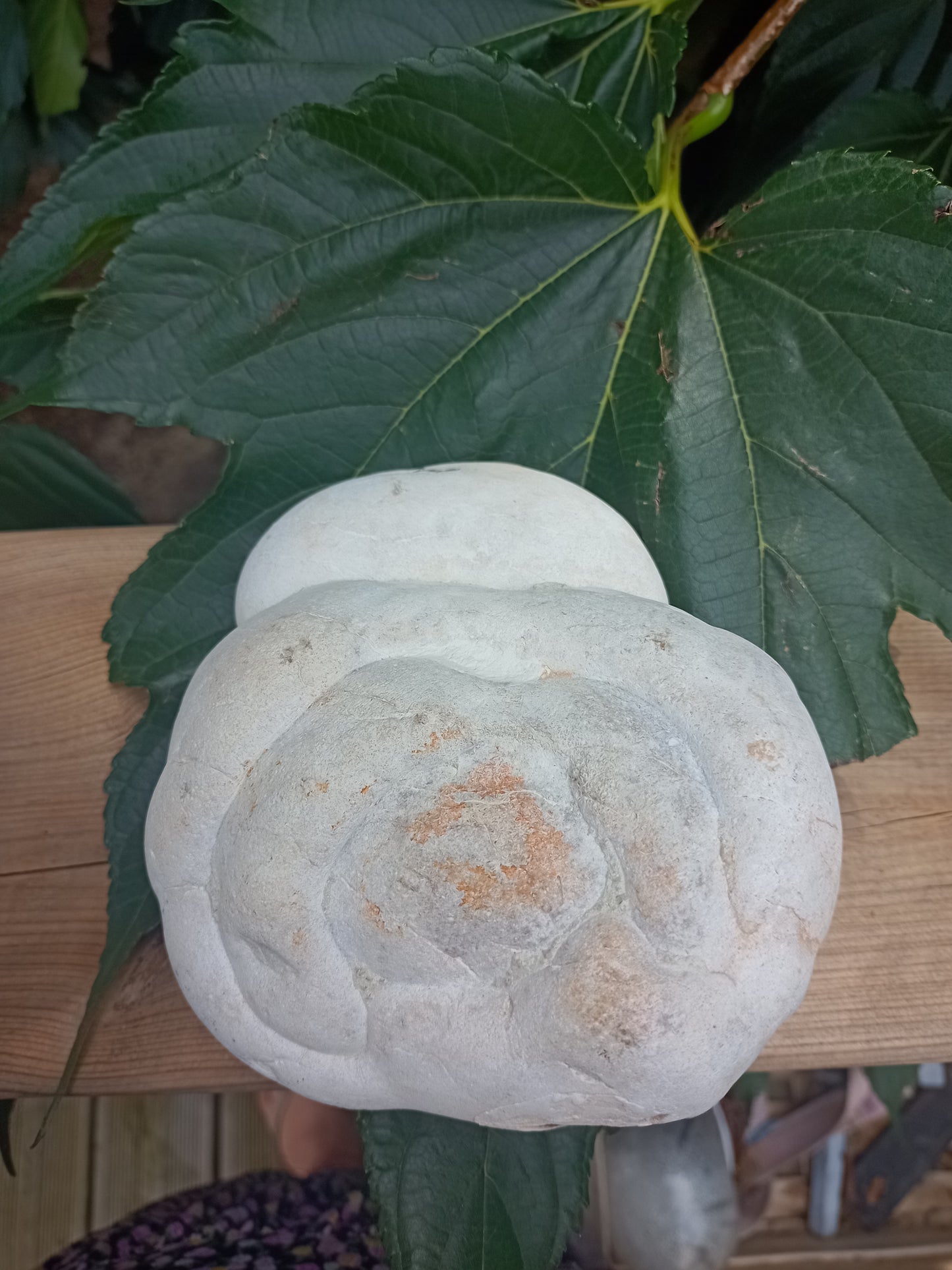 Fairy Stone