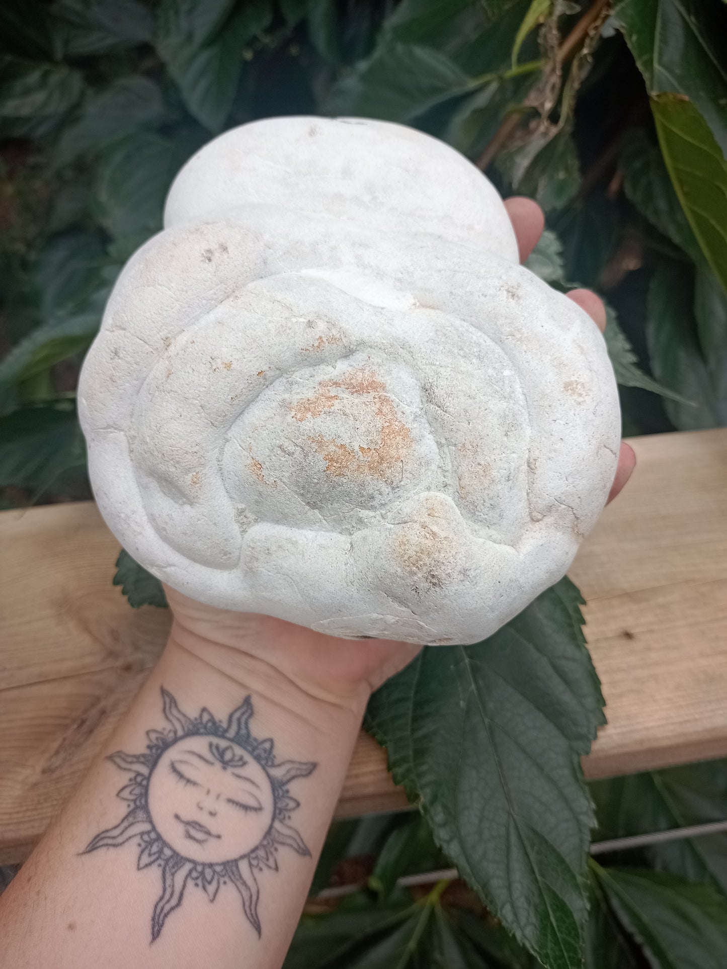 Fairy Stone