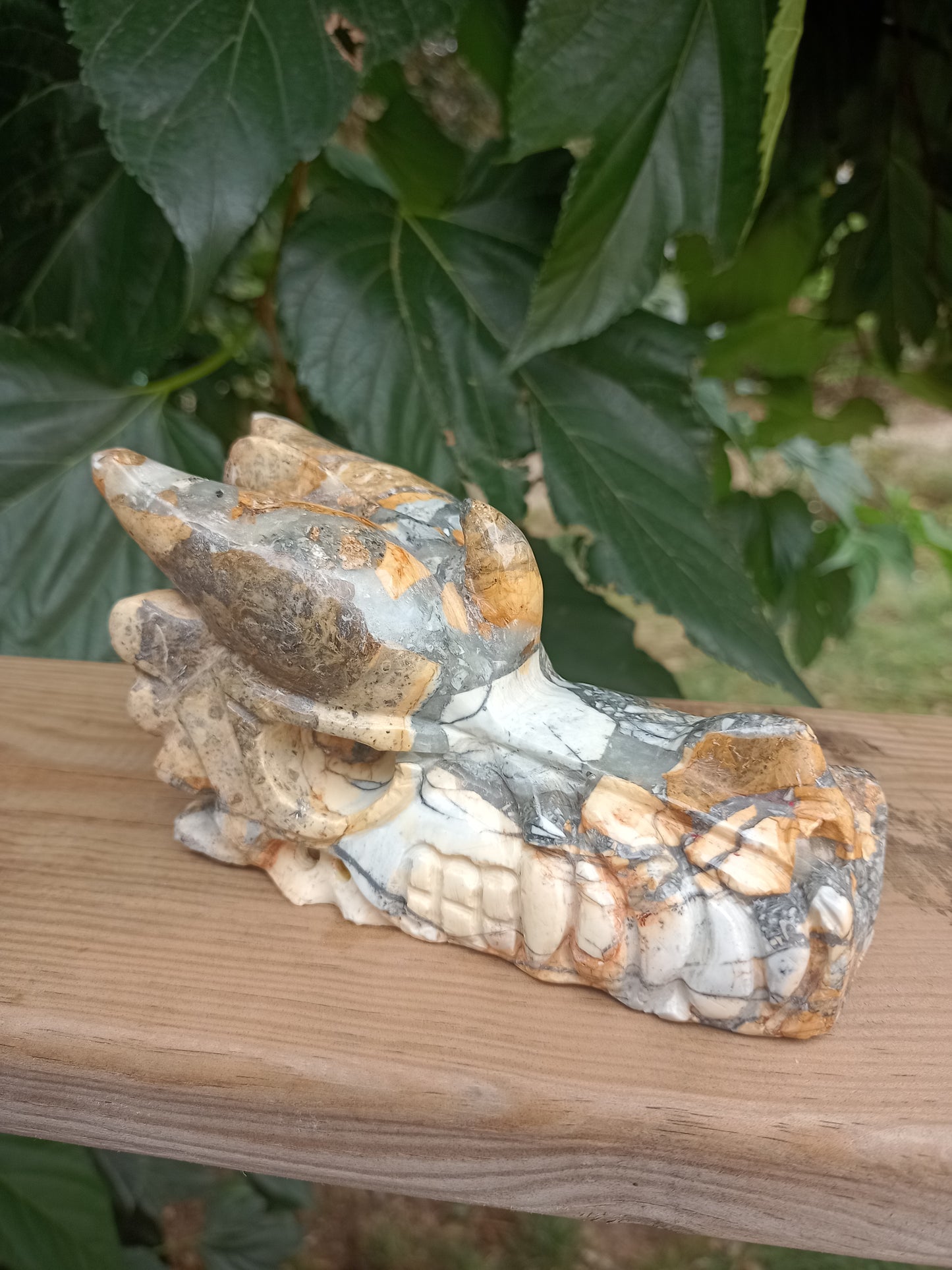 Dragon in Maligano Jasper