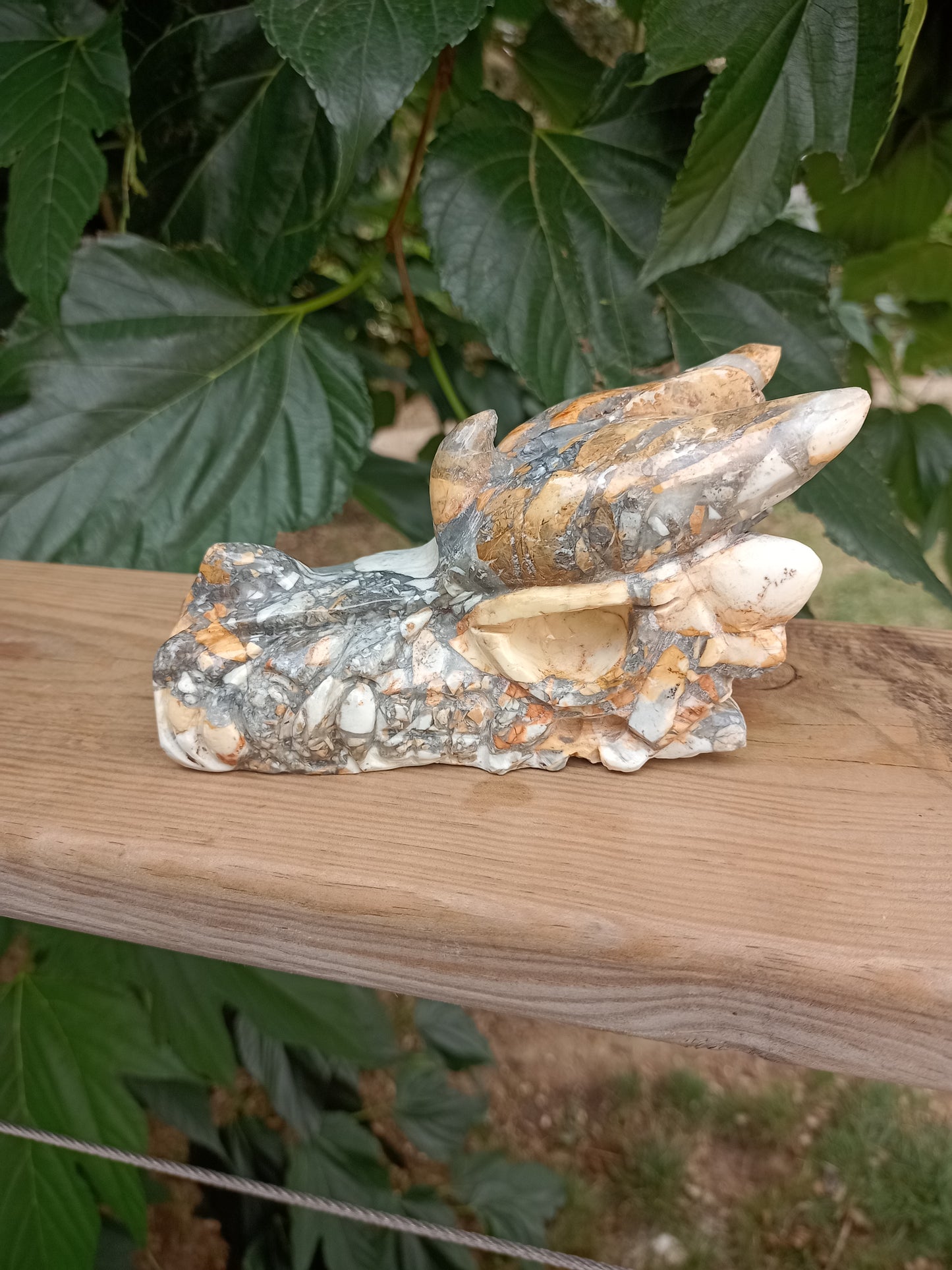 Dragon in Maligano Jasper