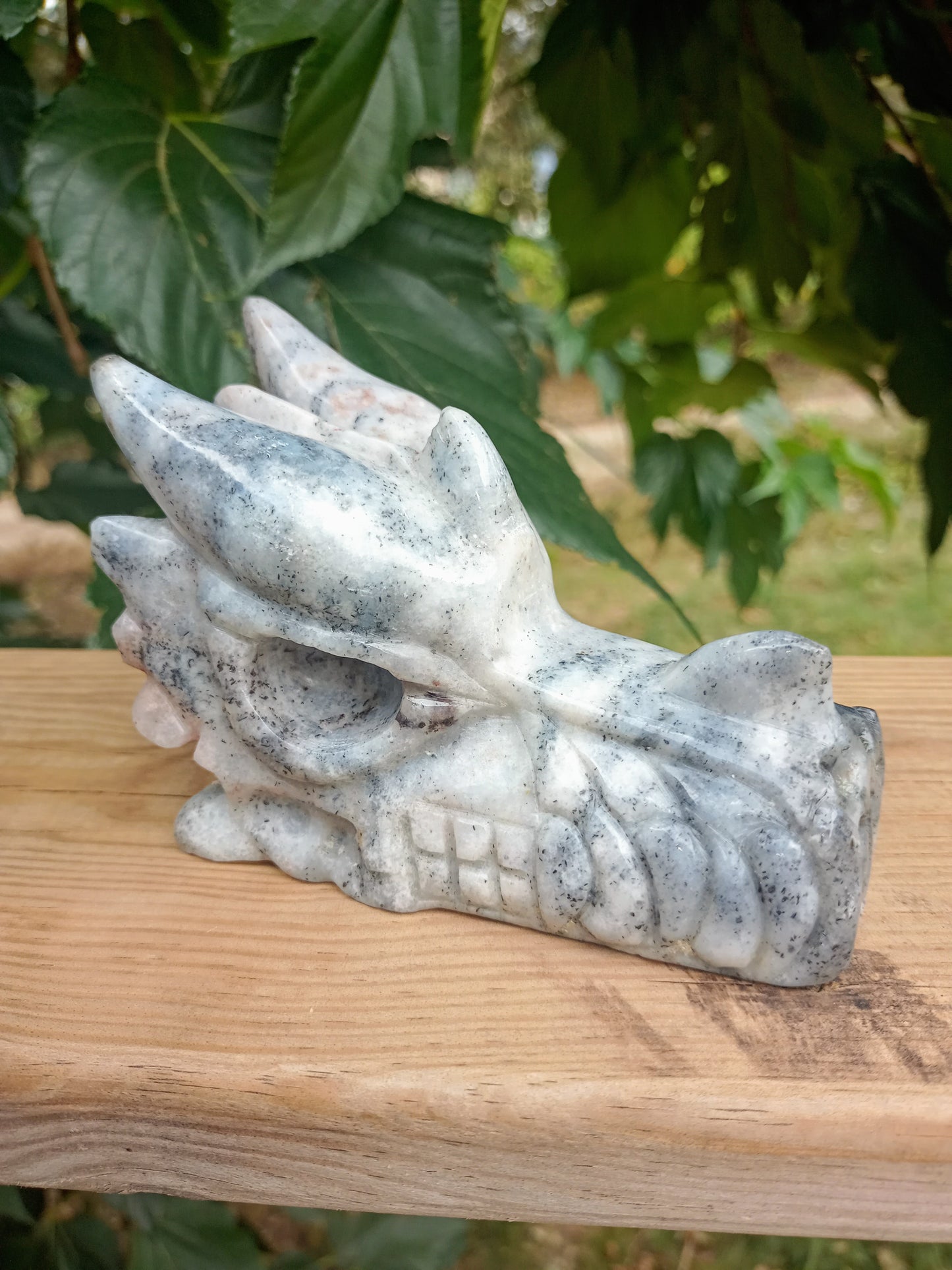 Dragon in Dendritic Agate or Merlin Stone (Merlinite)