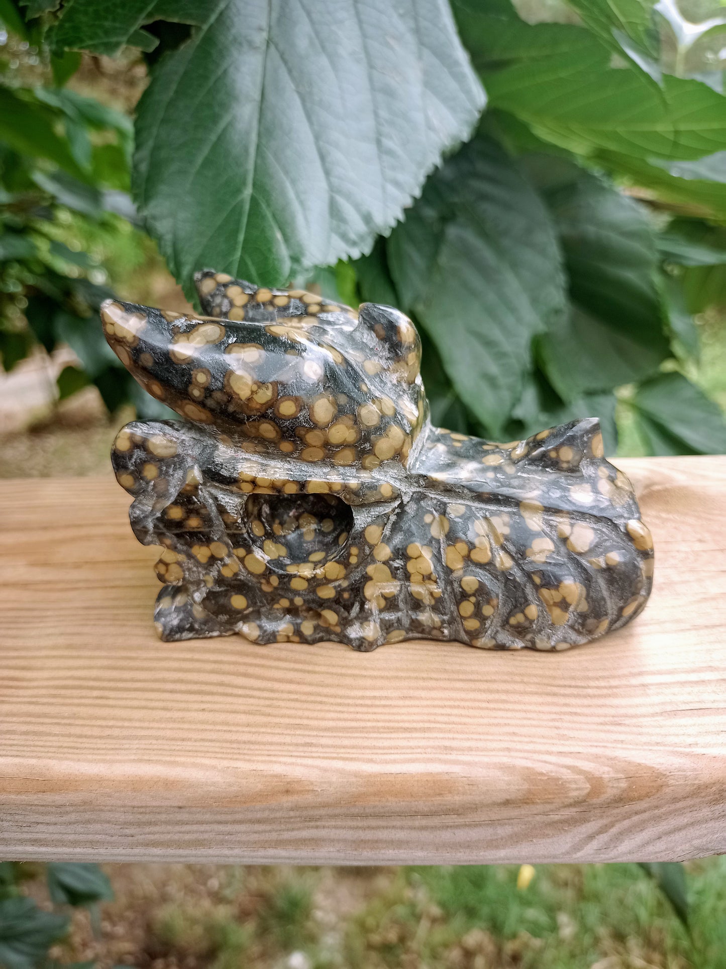 Orbicular Jasper Dragon