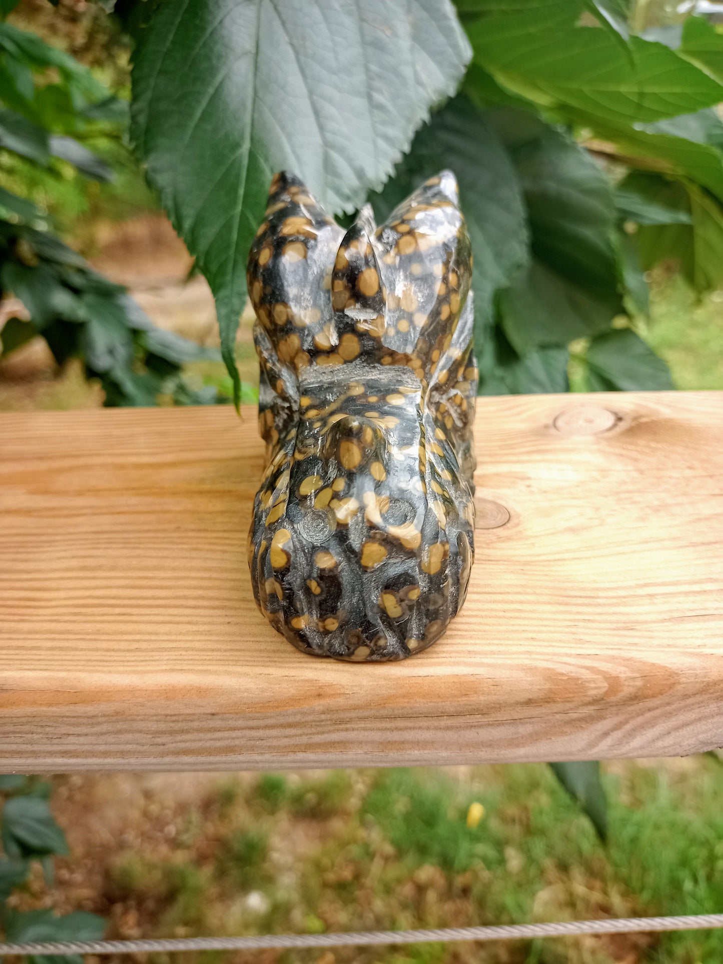 Orbicular Jasper Dragon