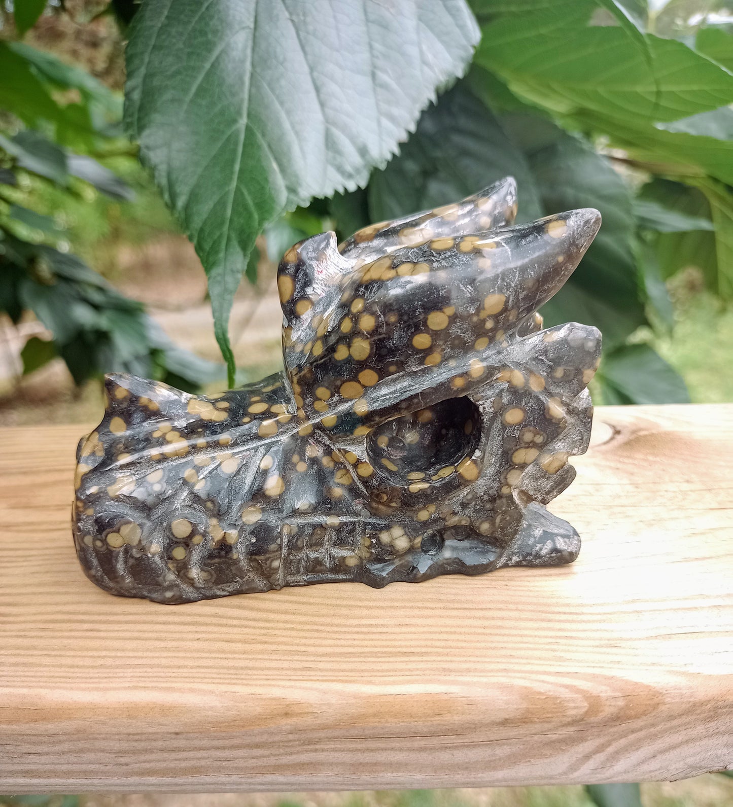 Orbicular Jasper Dragon