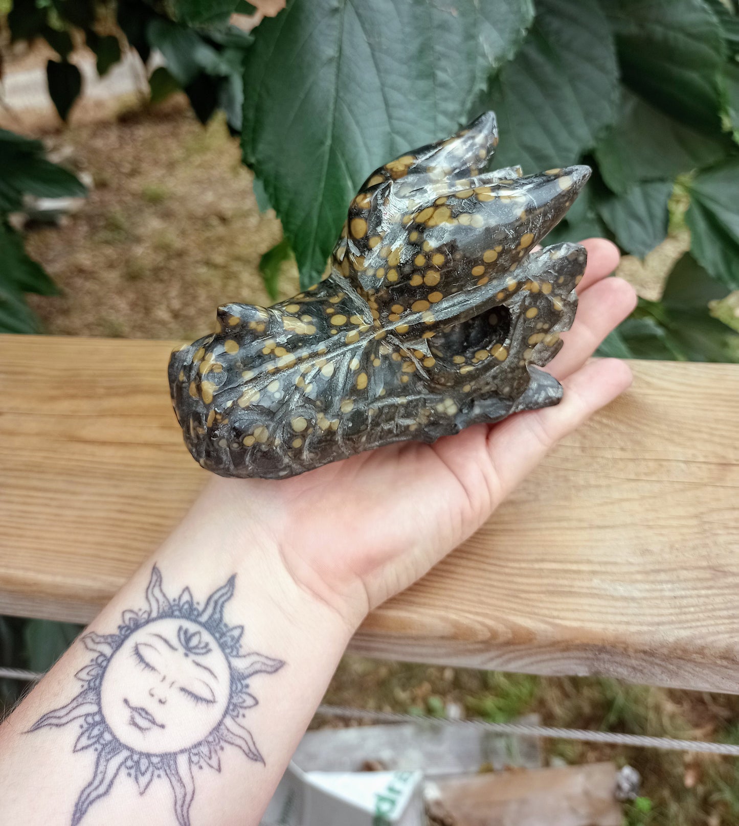 Orbicular Jasper Dragon