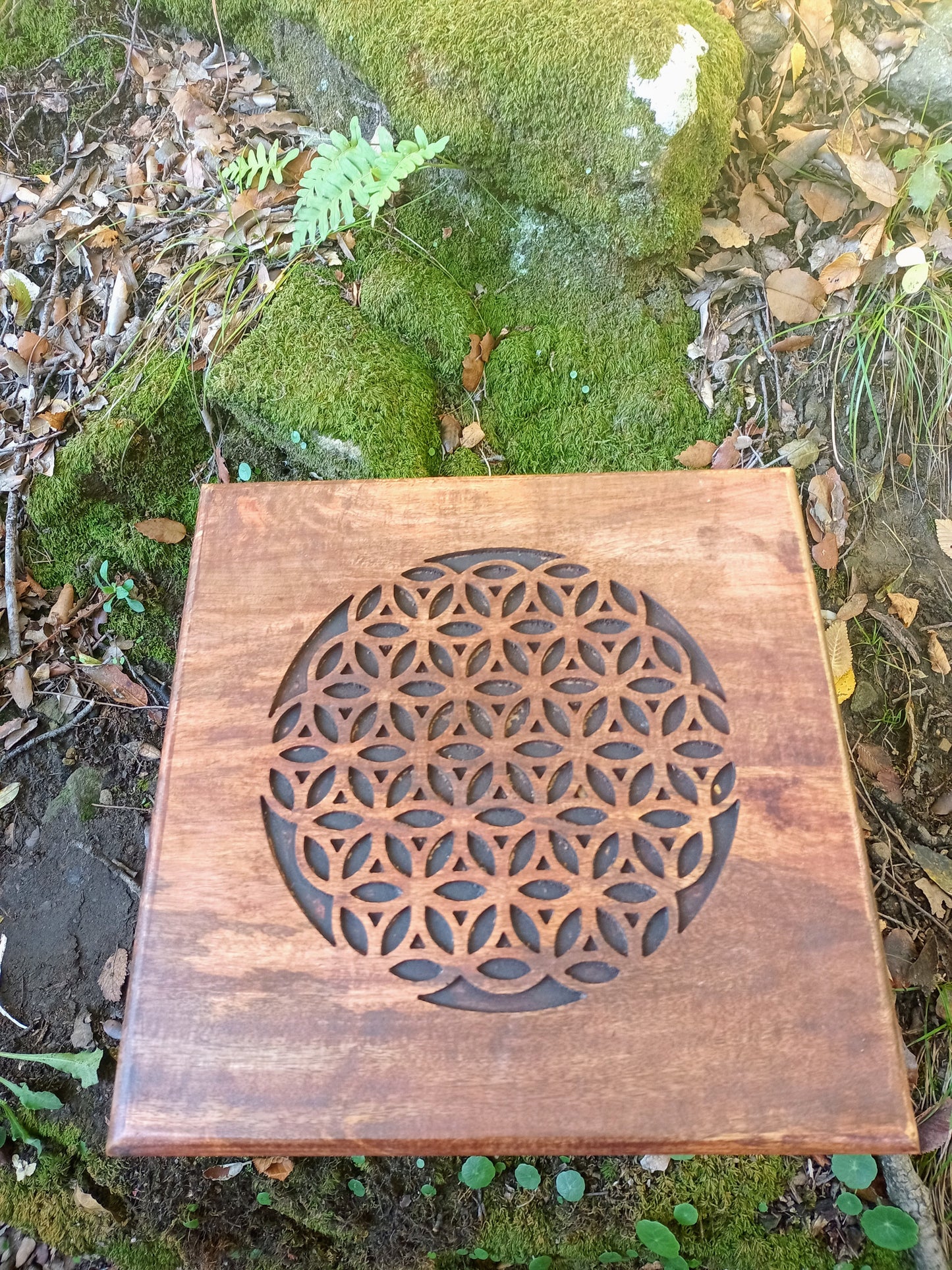 Ritual Table & Flower of Life Altar in Mango Wood