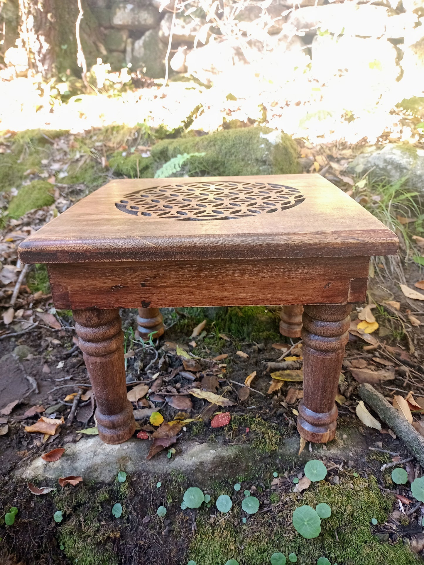 Ritual Table & Flower of Life Altar in Mango Wood
