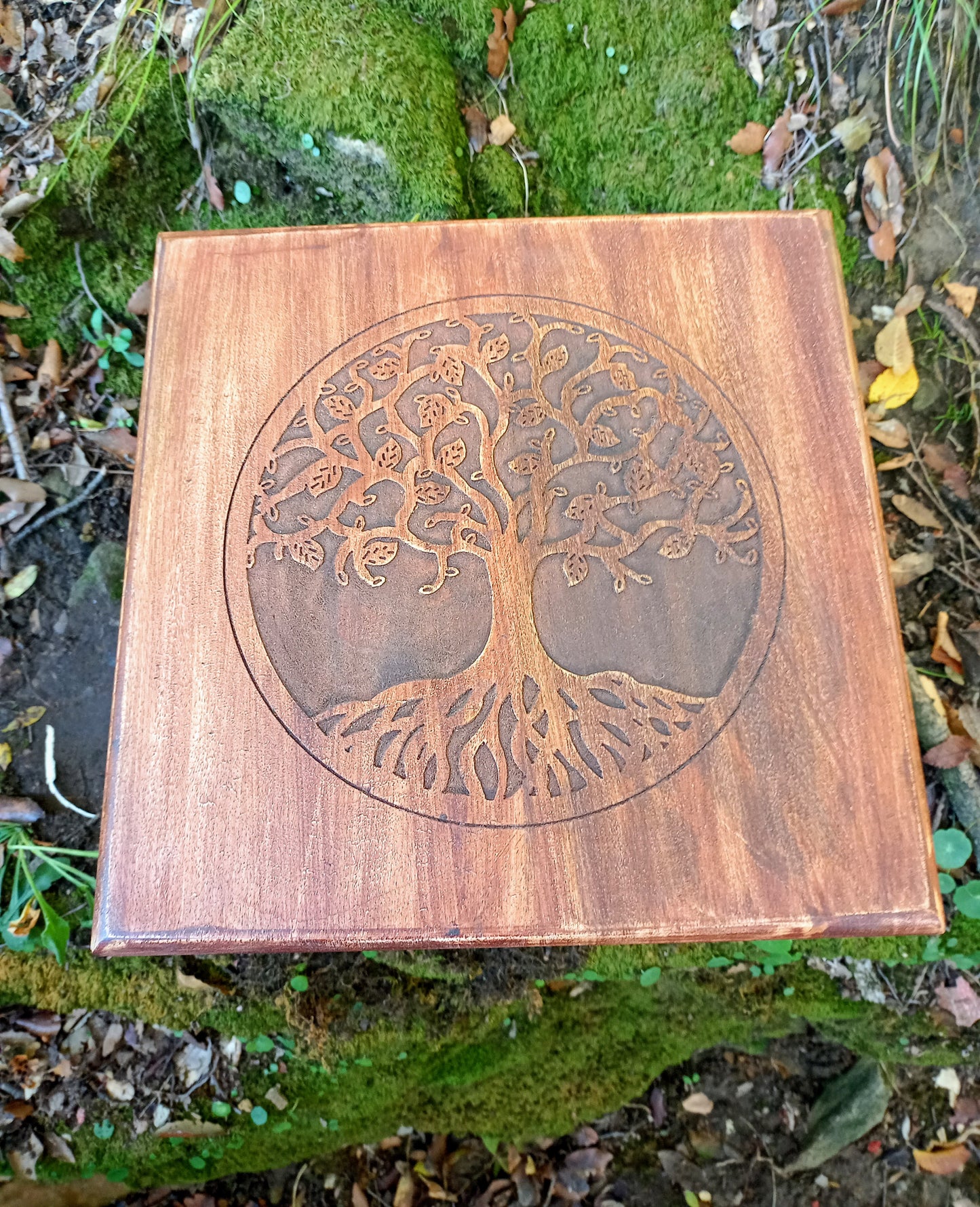 Ritual Table & Tree of Life Altar in Mango Wood