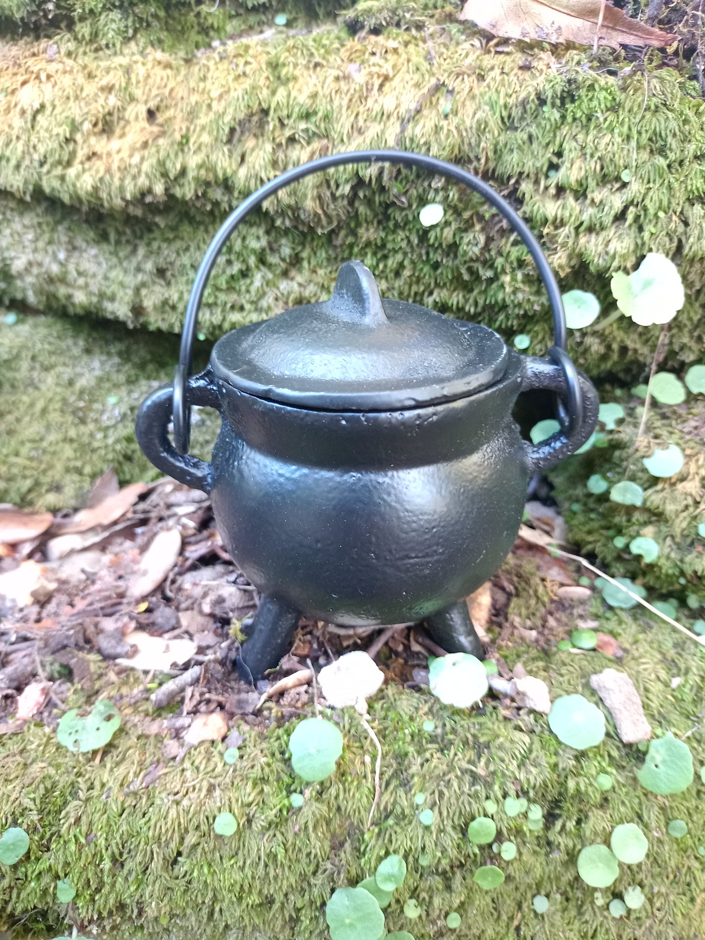 Cast iron cauldron
