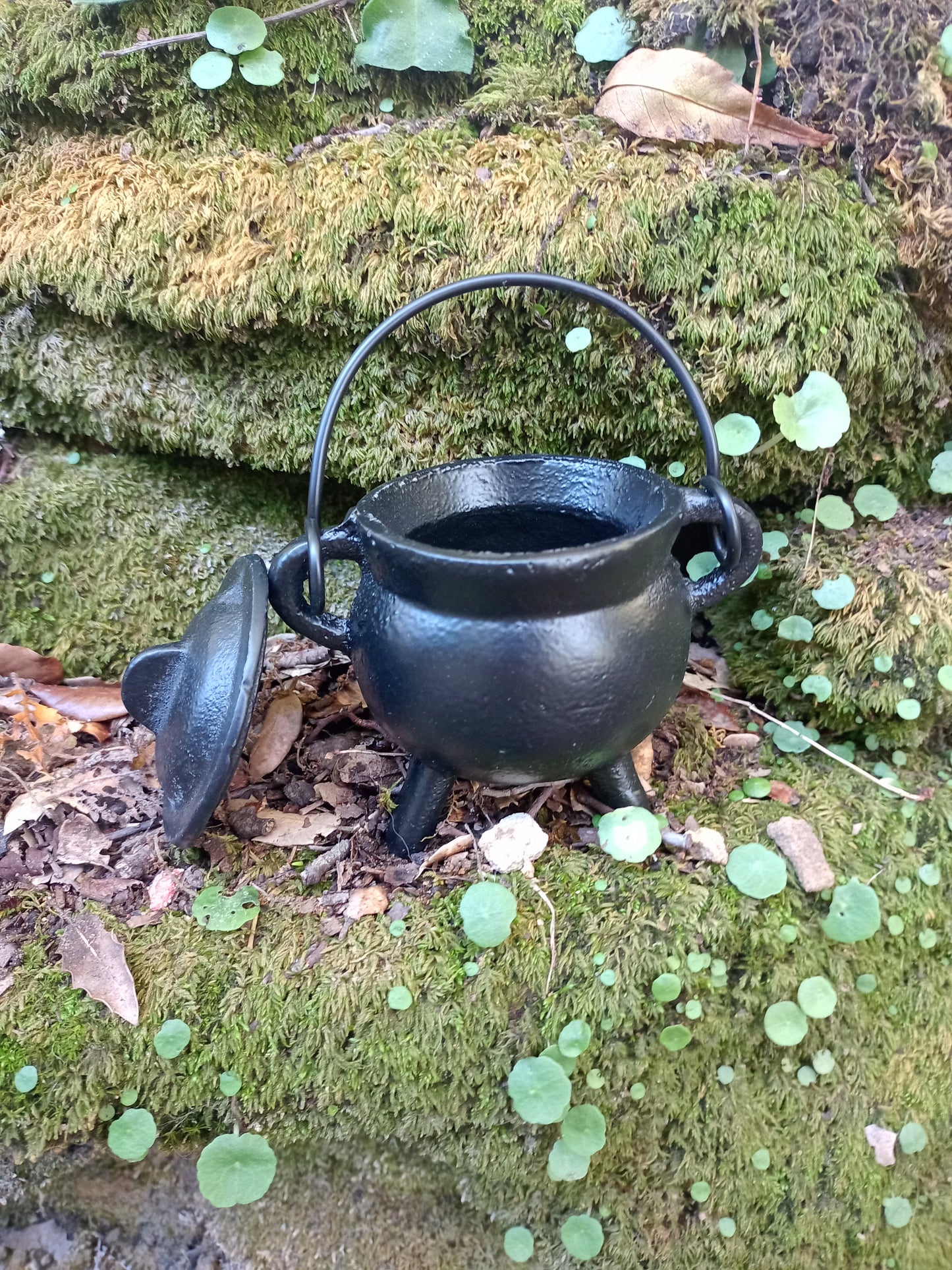 Cast iron cauldron