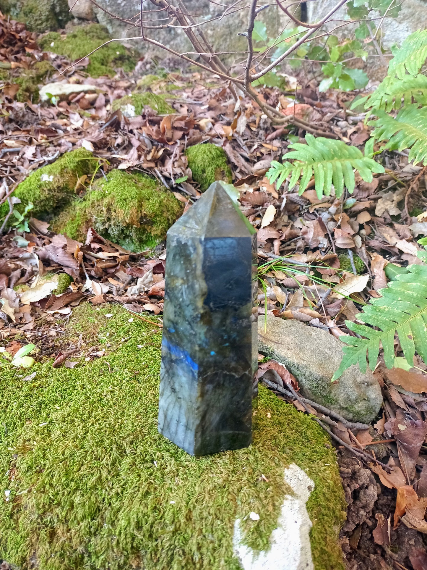 Labradorite tip