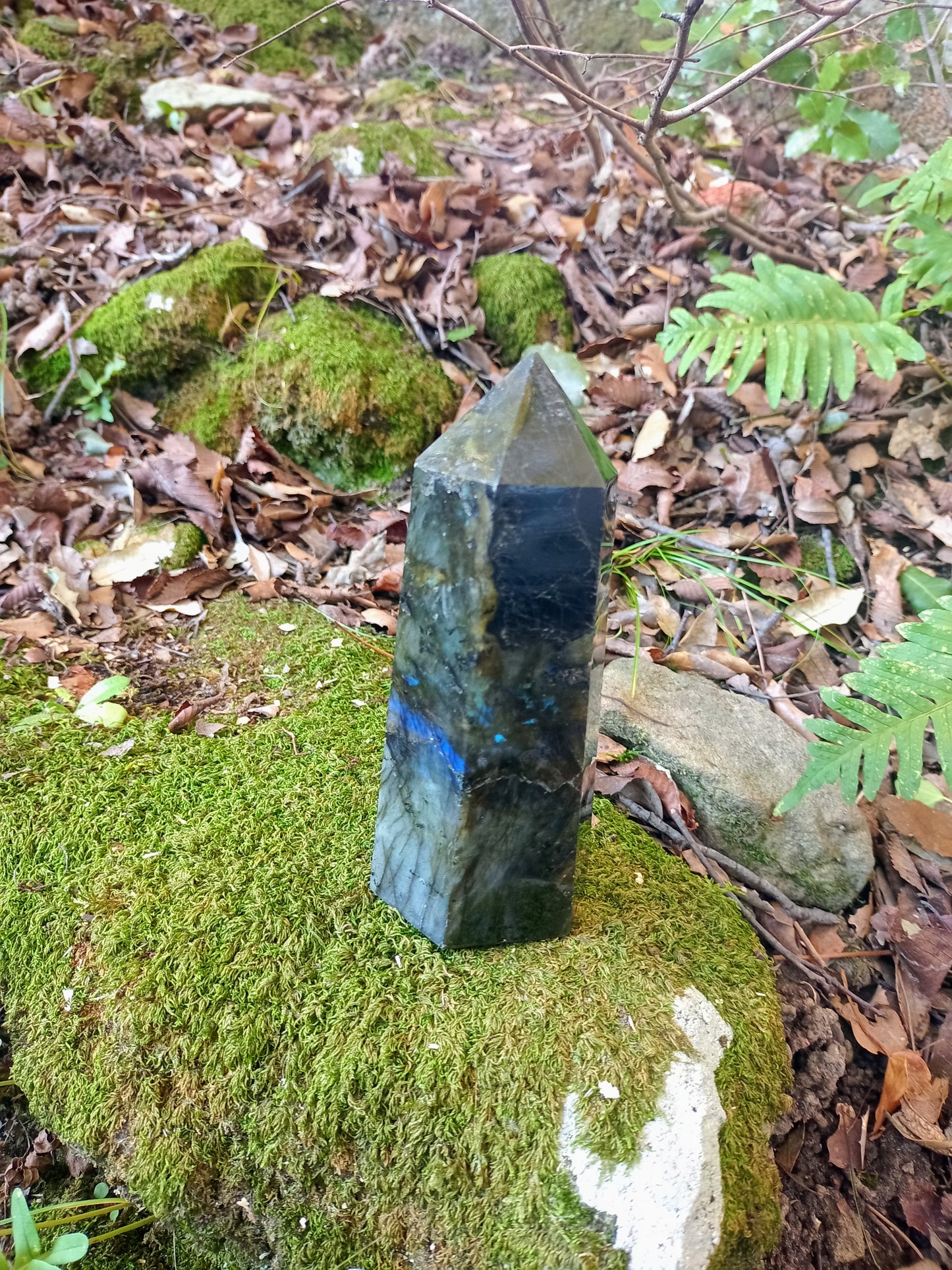 Labradorite tip