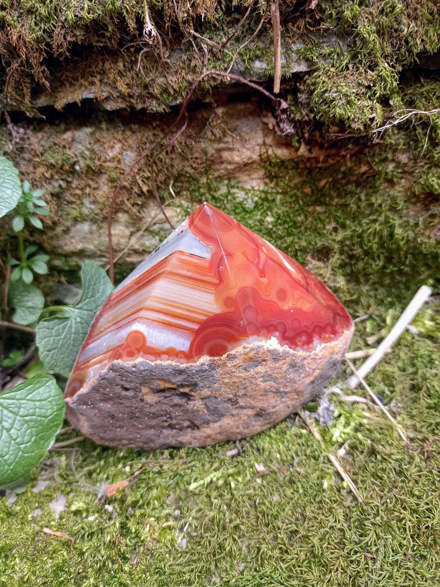 Raw and polished tip in Red Agate