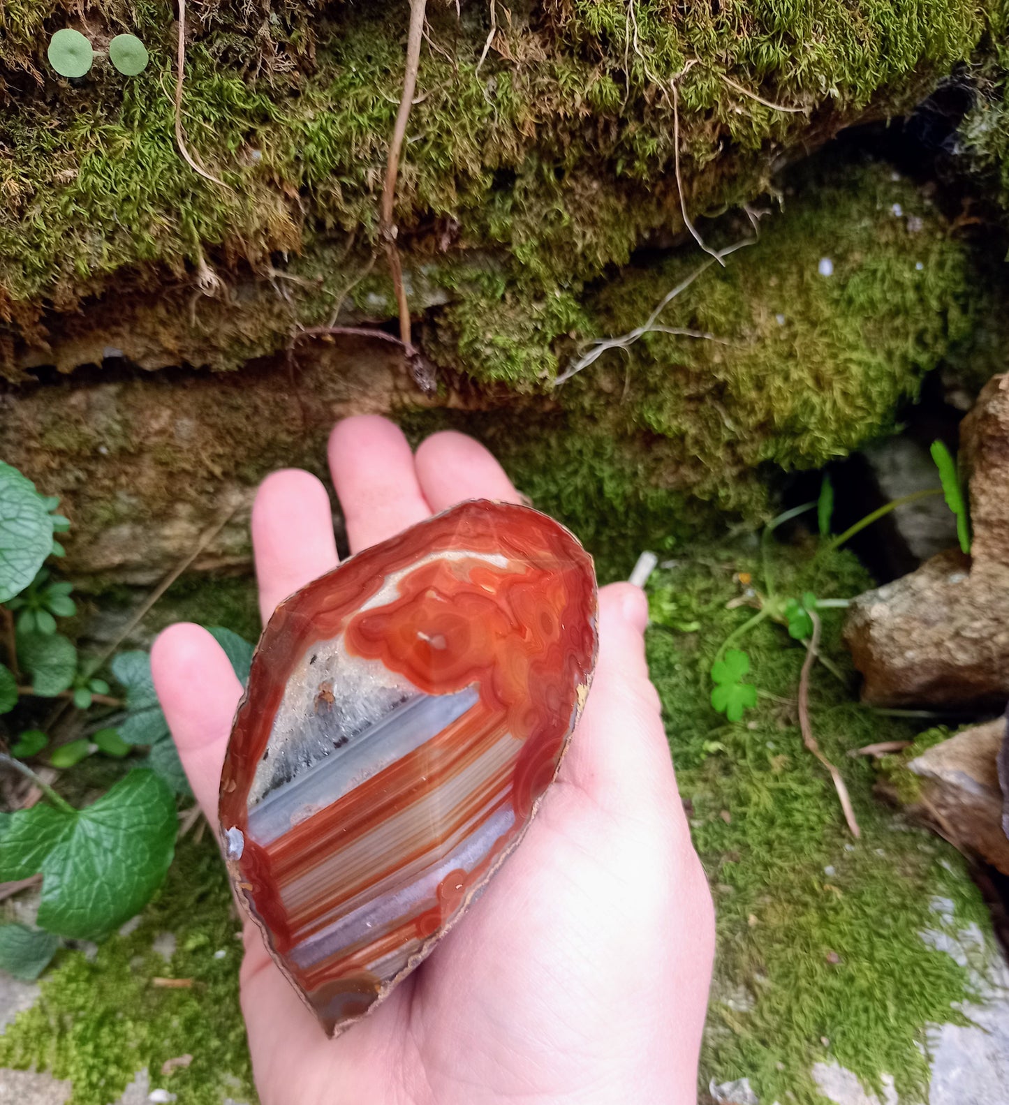 Raw and polished tip in Red Agate