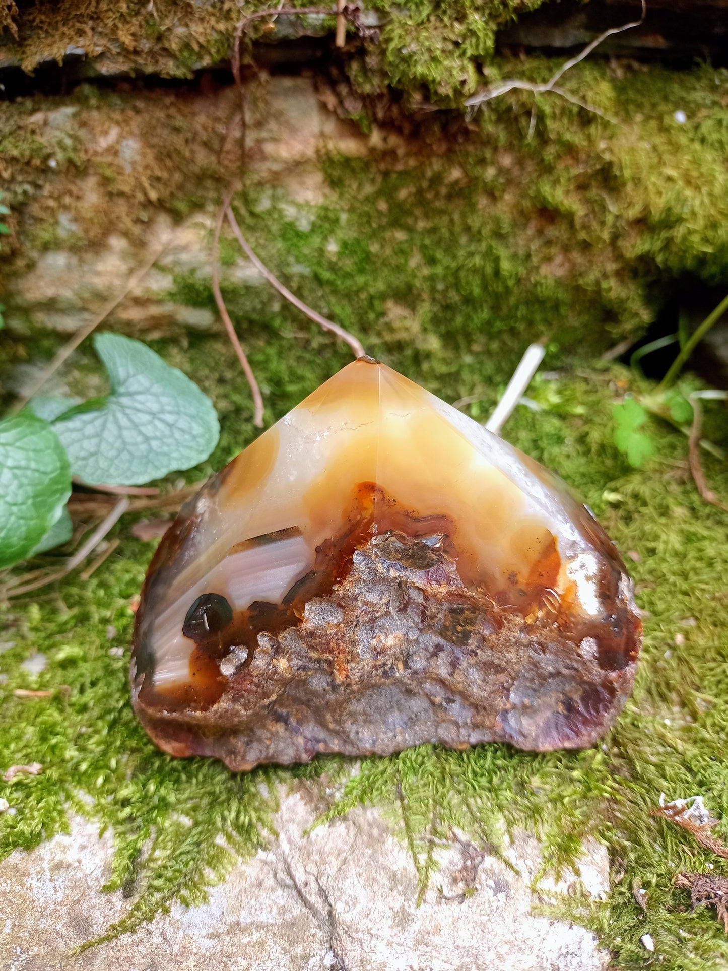 Raw & polished tip in Orange Agate