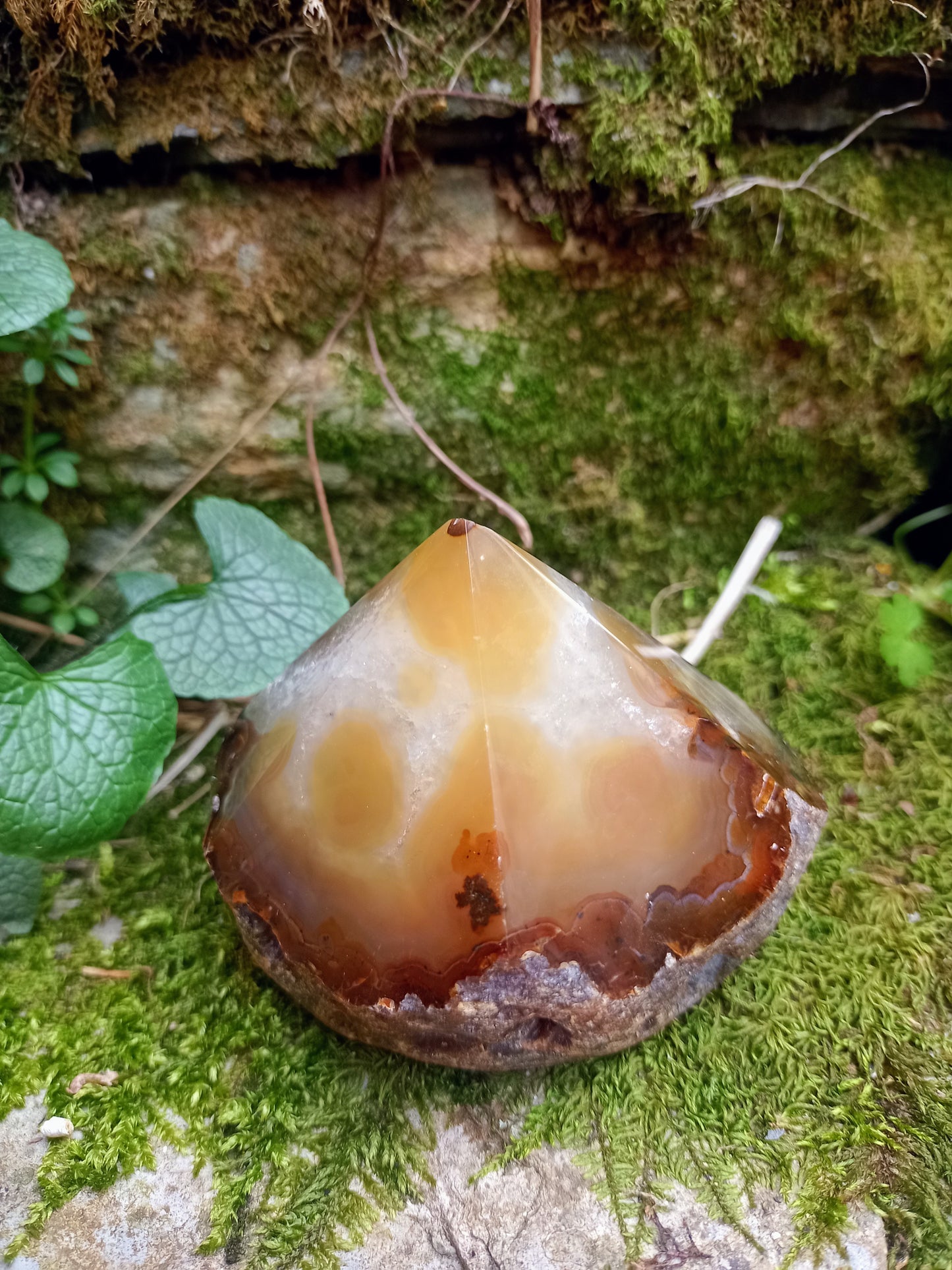 Raw & polished tip in Orange Agate