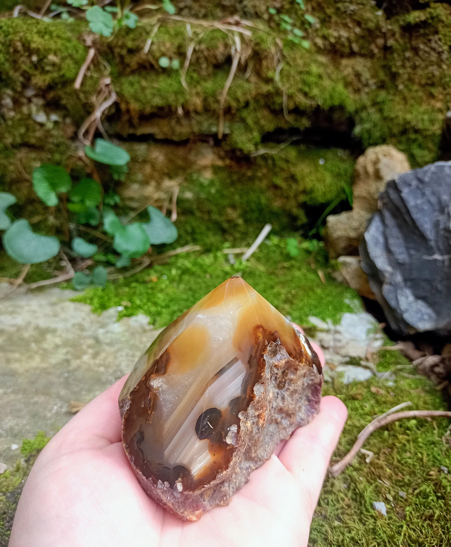 Raw & polished tip in Orange Agate