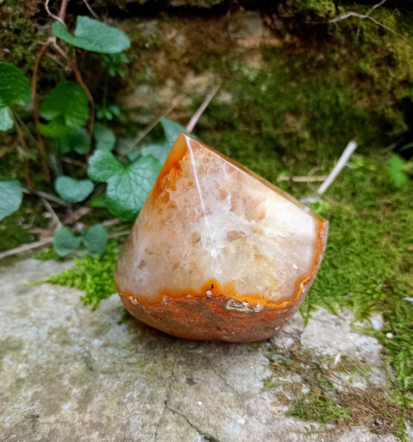 Raw and polished tip in yellow Agate