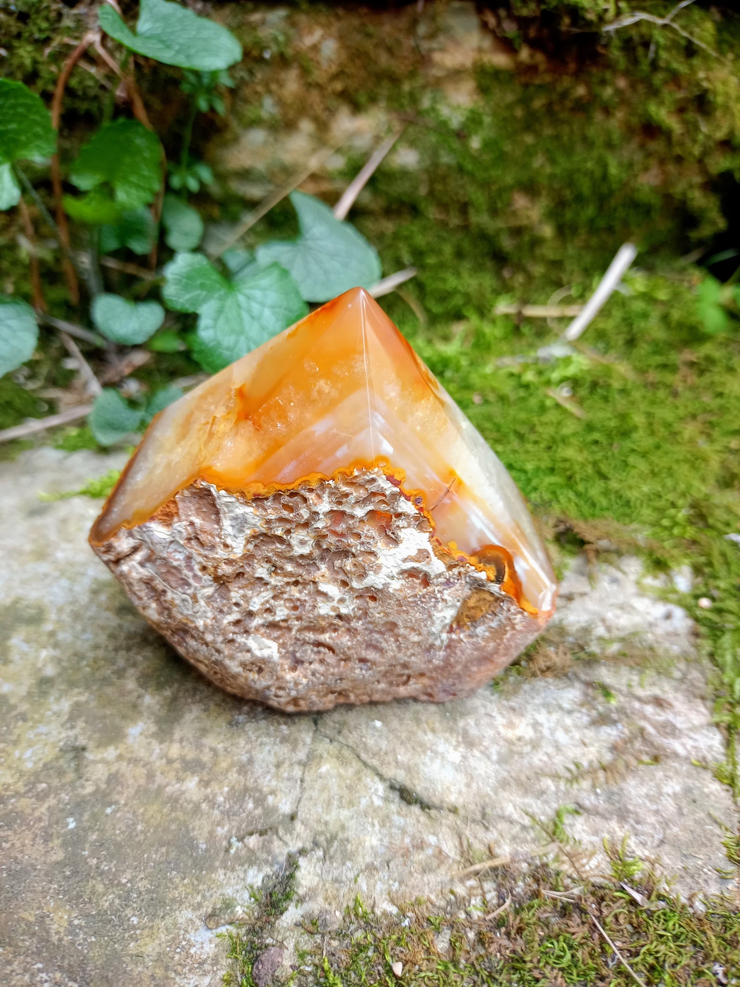 Raw and polished tip in yellow Agate