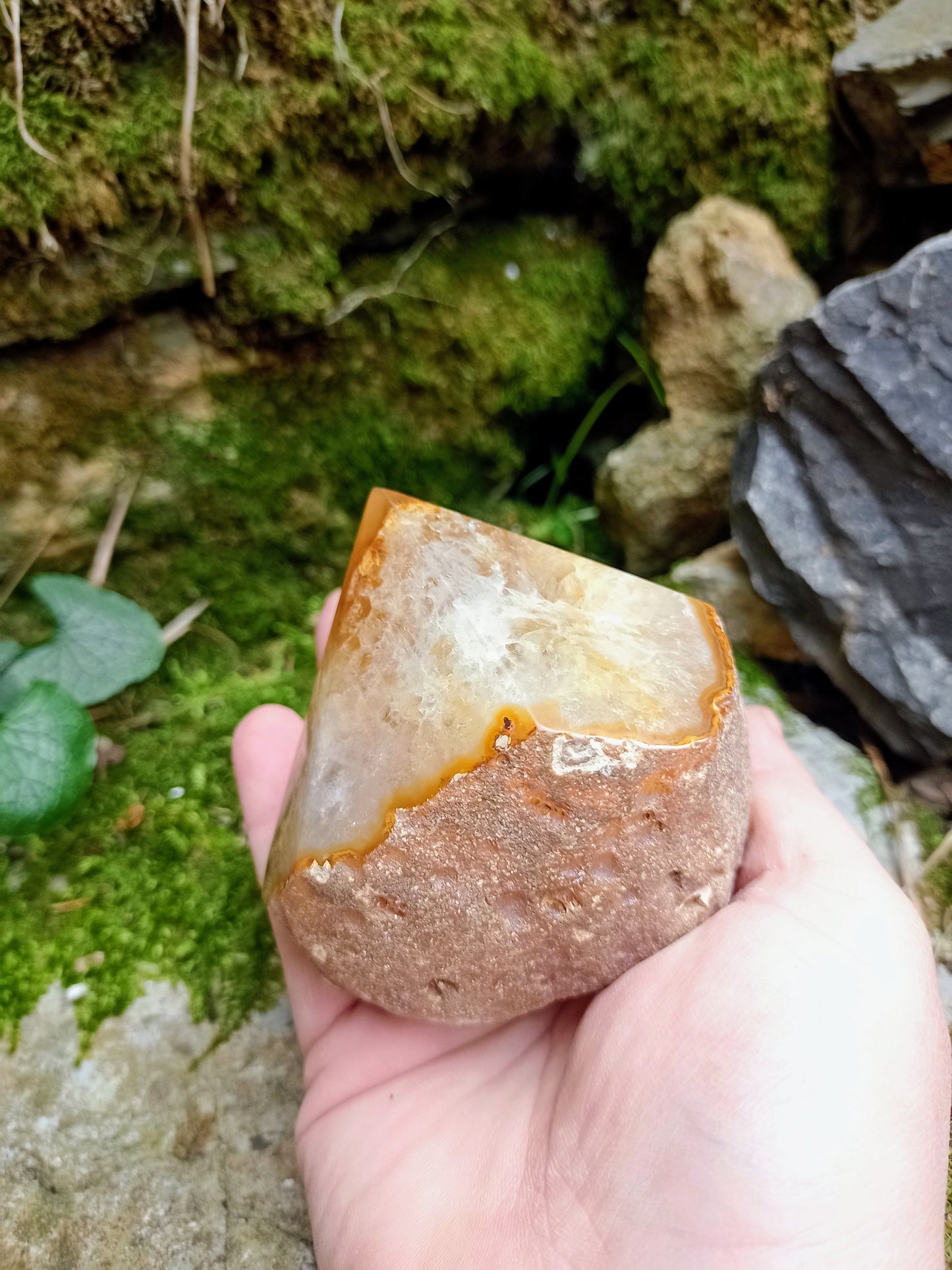 Raw and polished tip in yellow Agate
