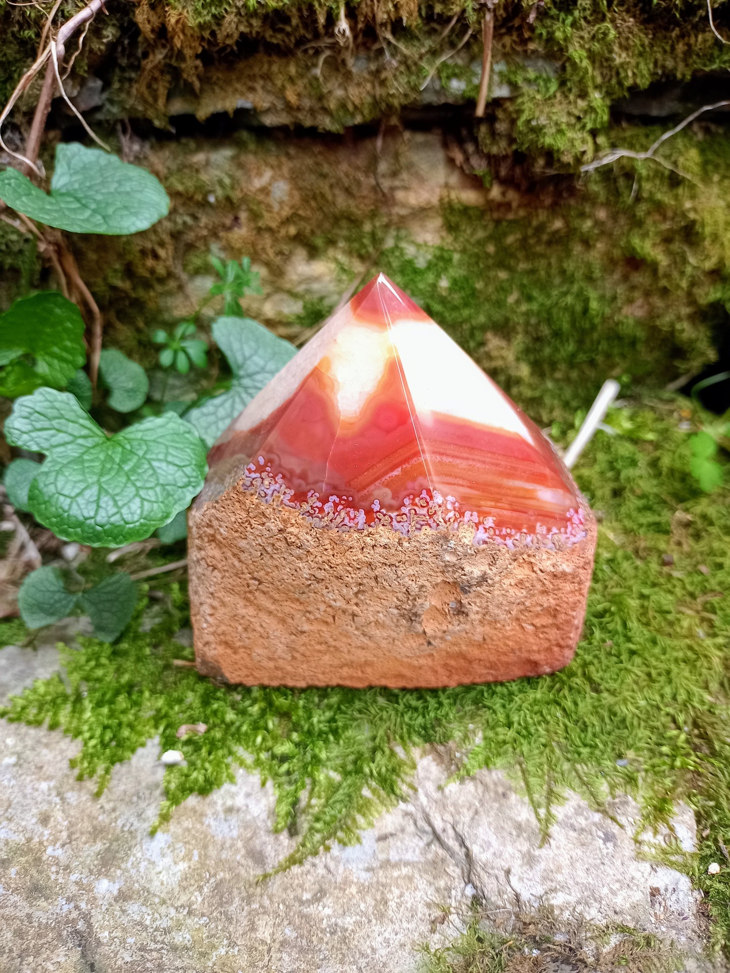 Raw and polished tip in Red and Orange Agate