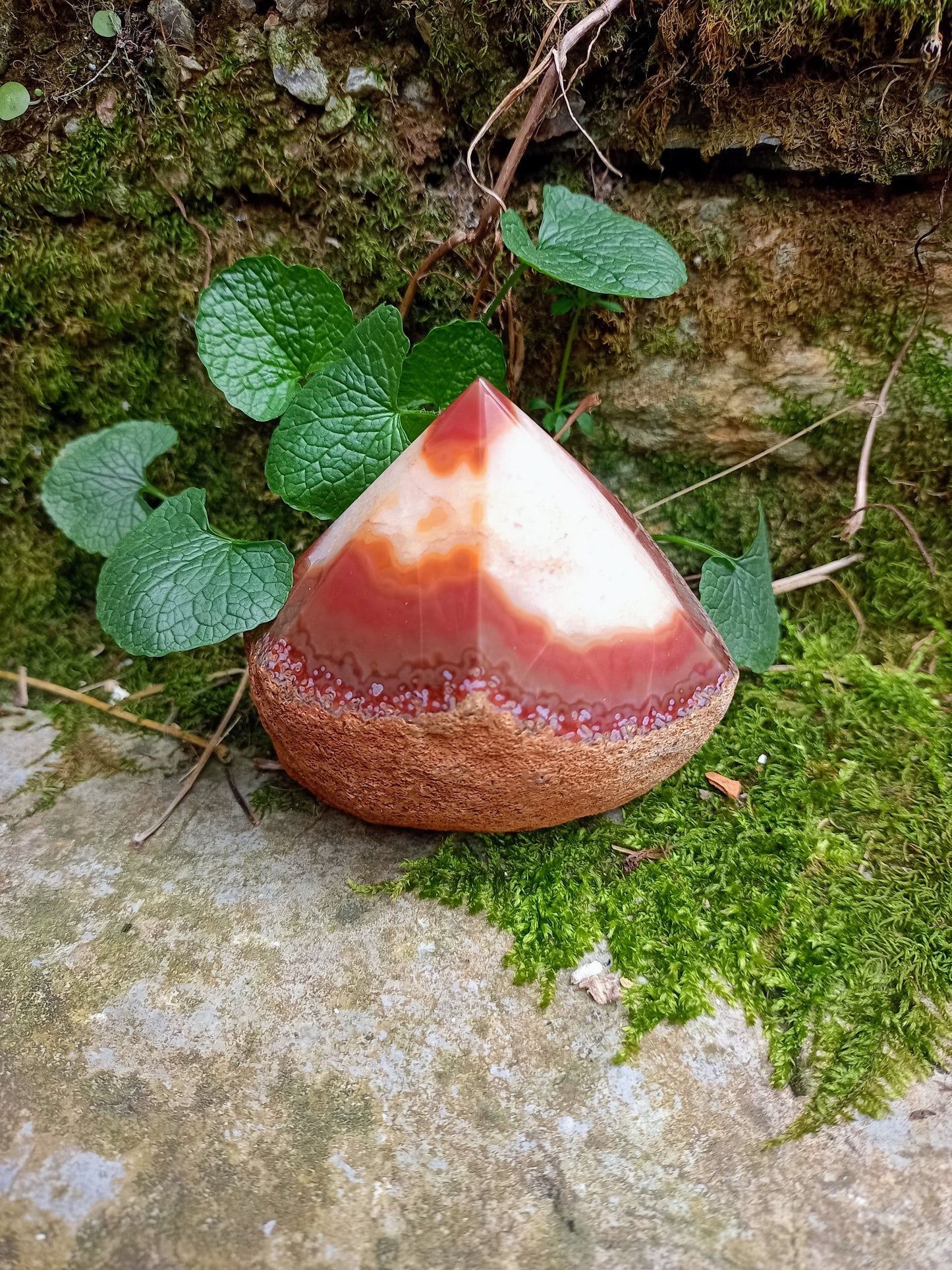 Raw and polished tip in Red and Orange Agate