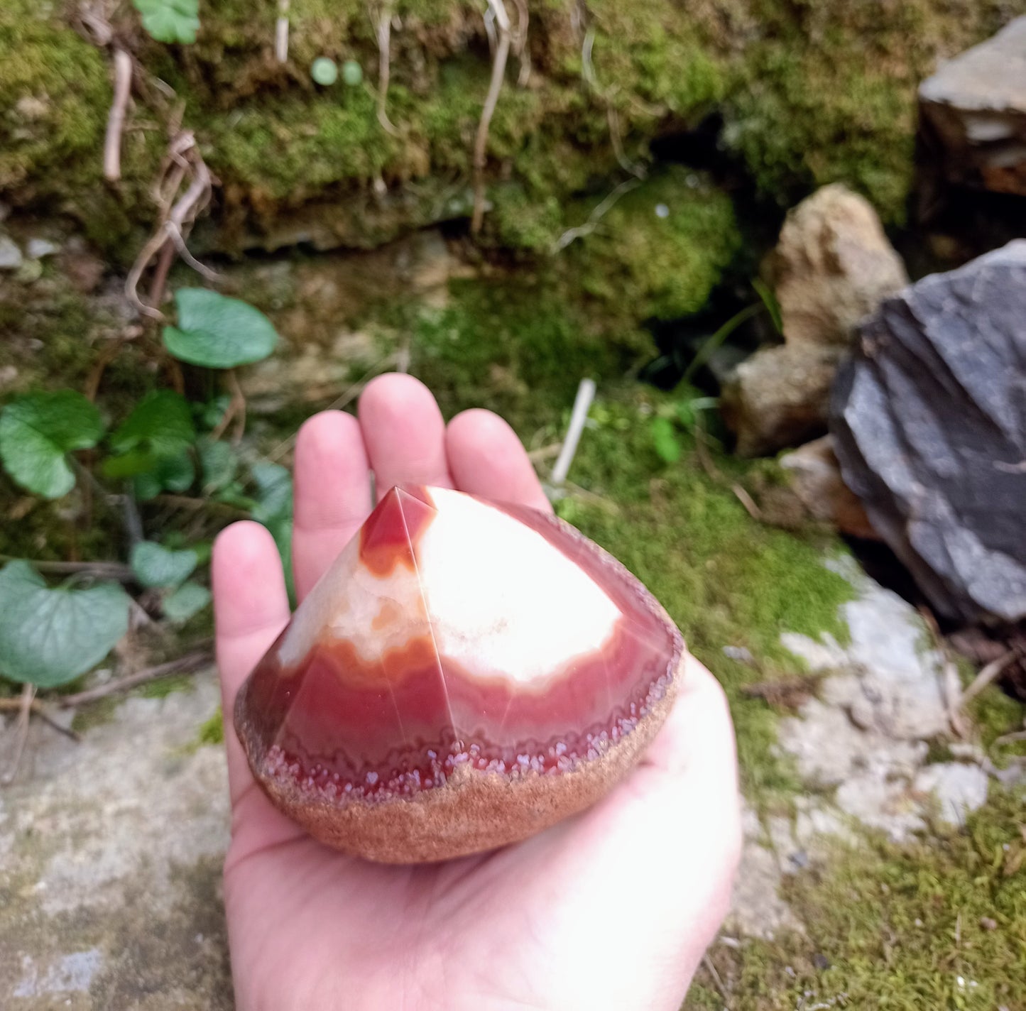 Raw and polished tip in Red and Orange Agate