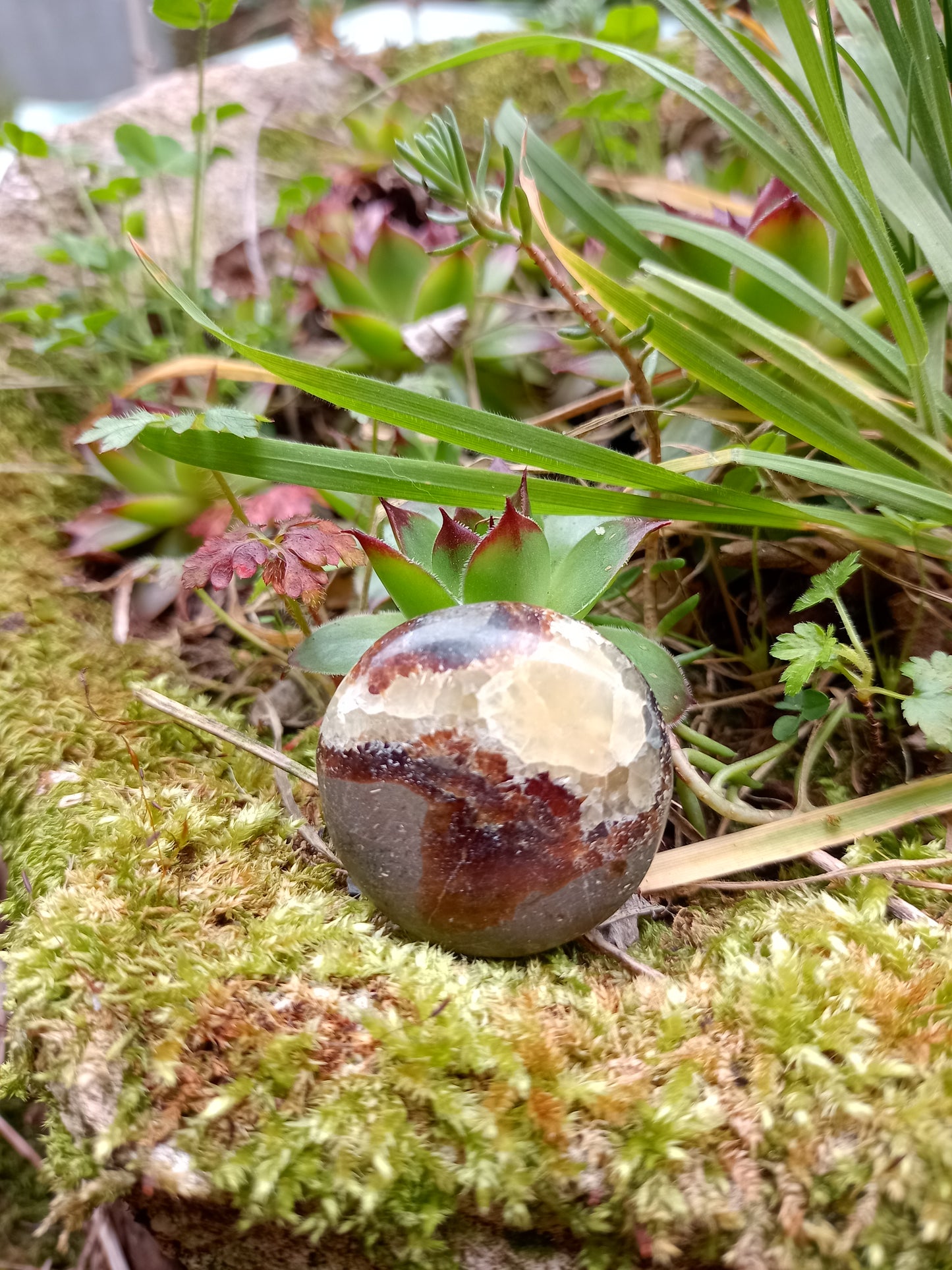 Pebble in Septaria - Dragon Stone
