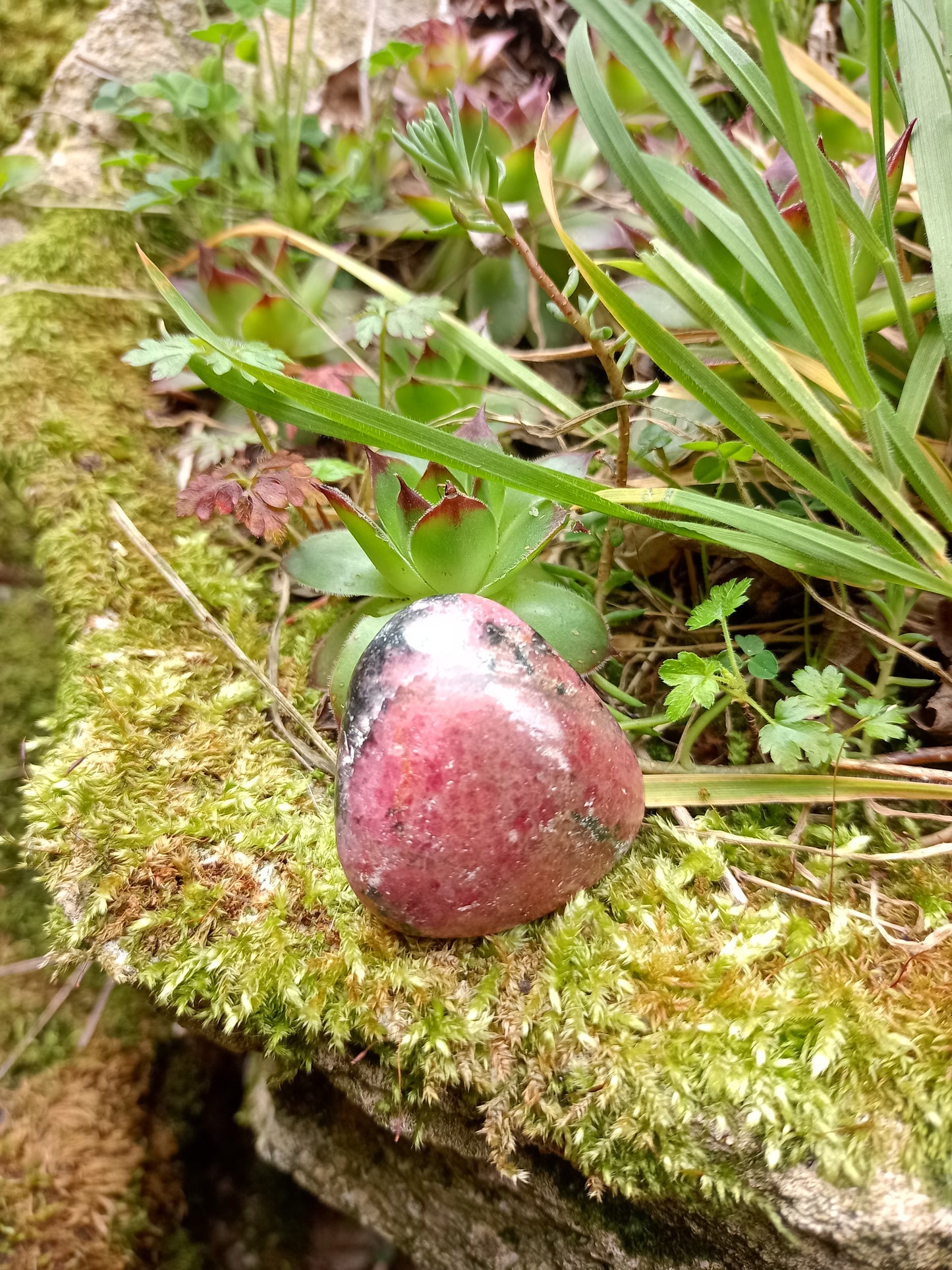 Rhodonite Pebble