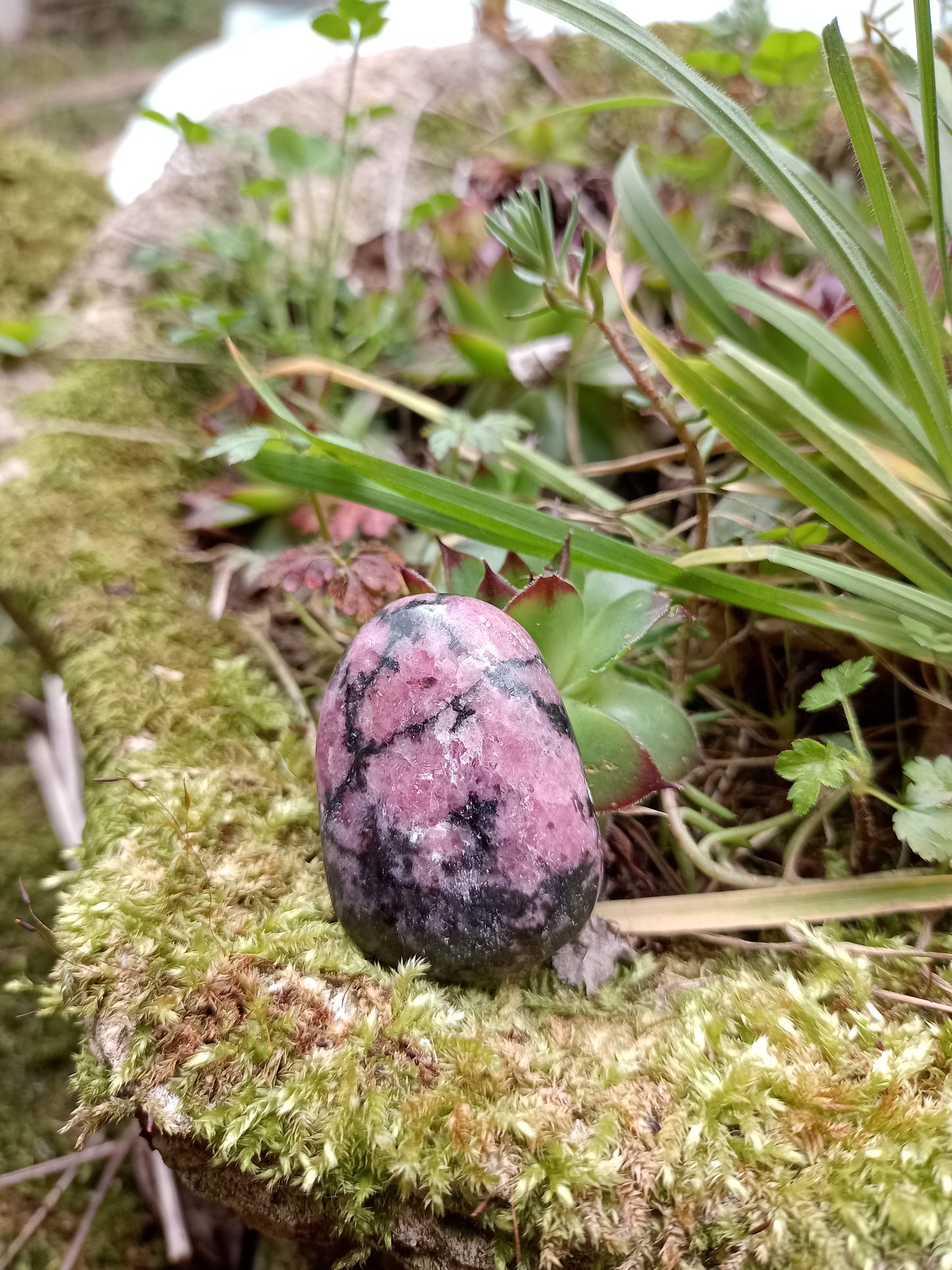 Rhodonite Pebble