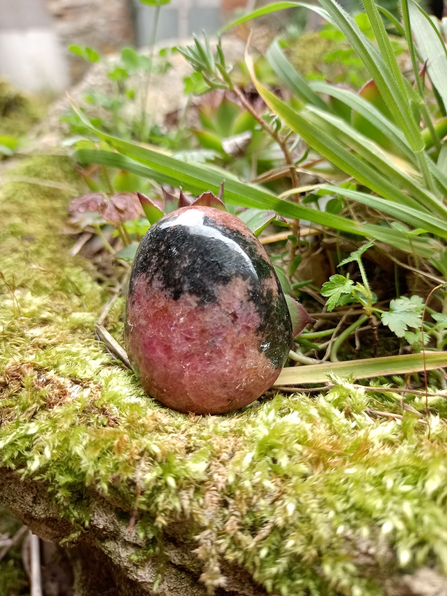 Rhodonite Pebble