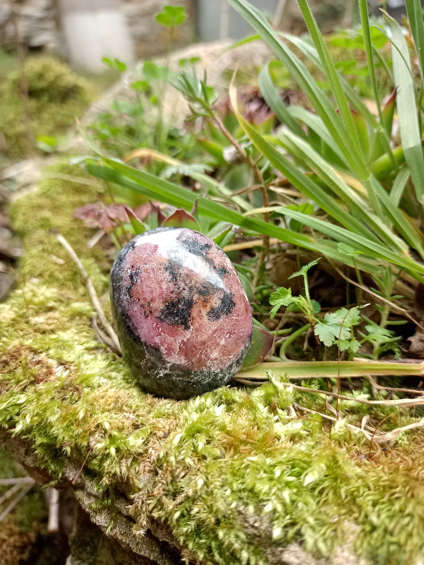 Rhodonite Pebble