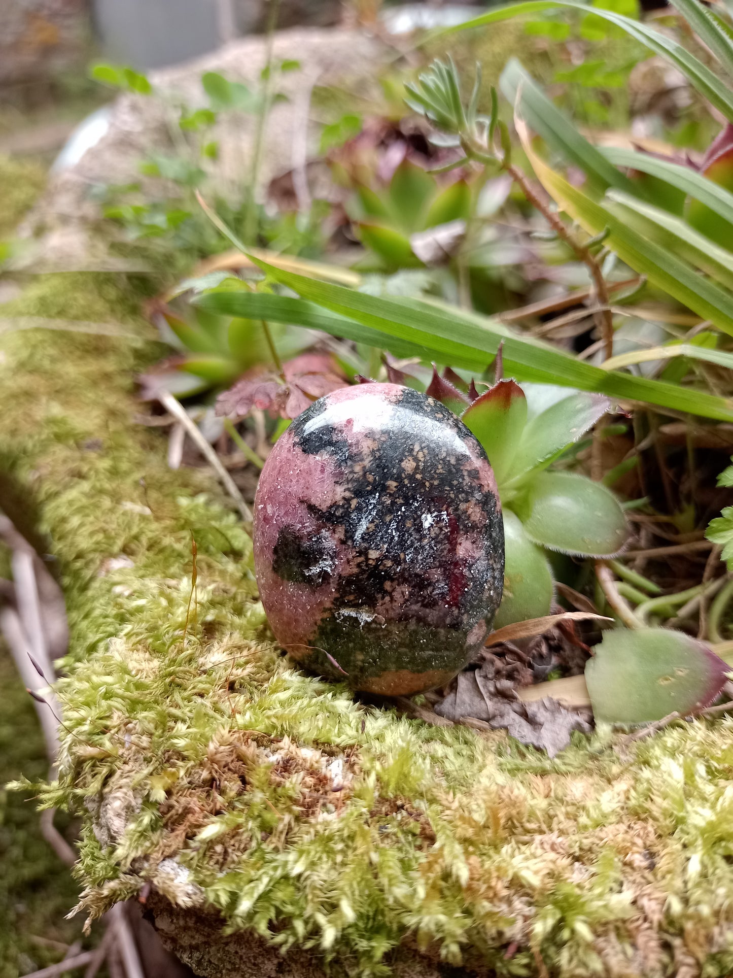 Rhodonite Pebble
