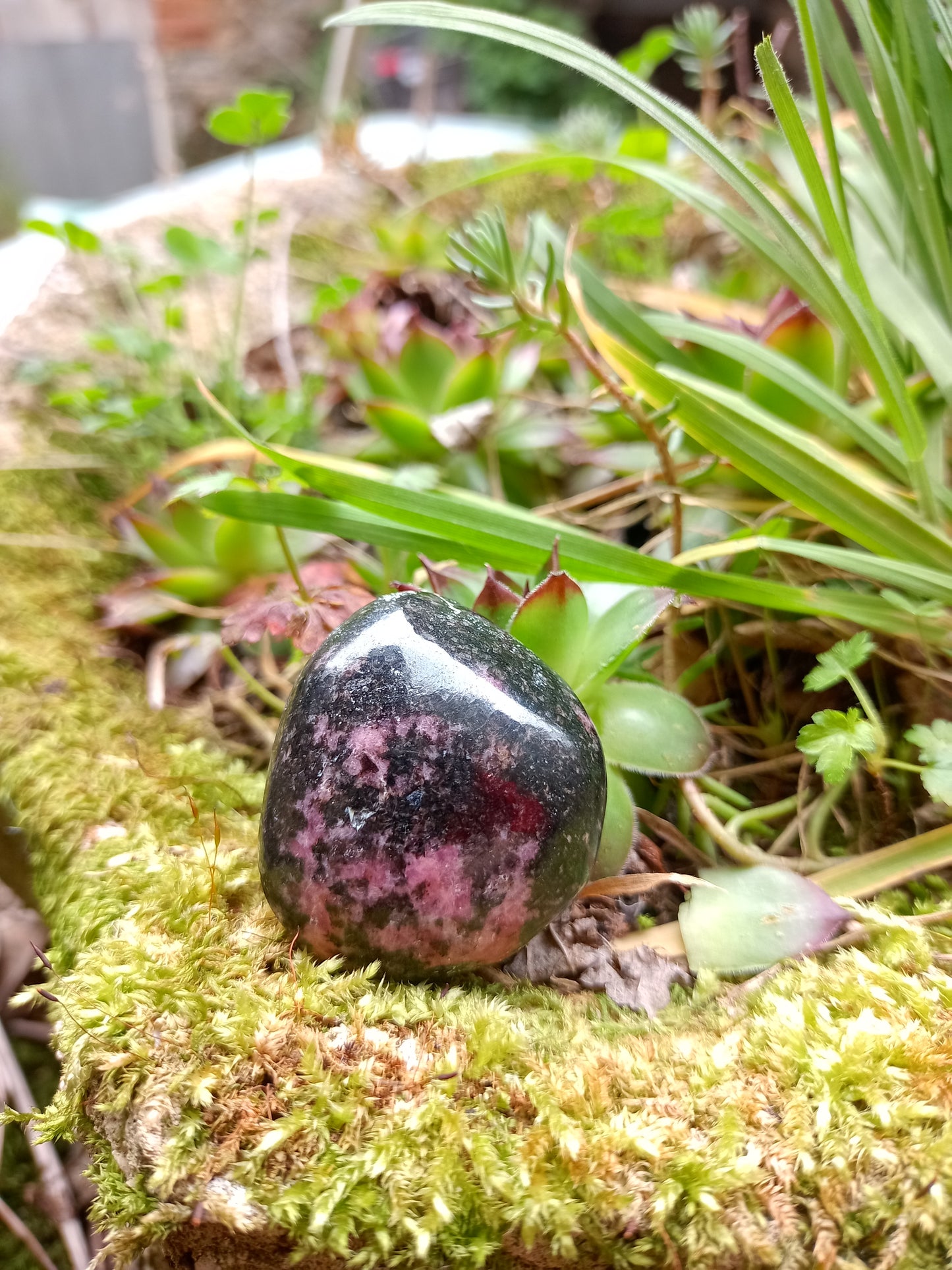 Rhodonite Pebble