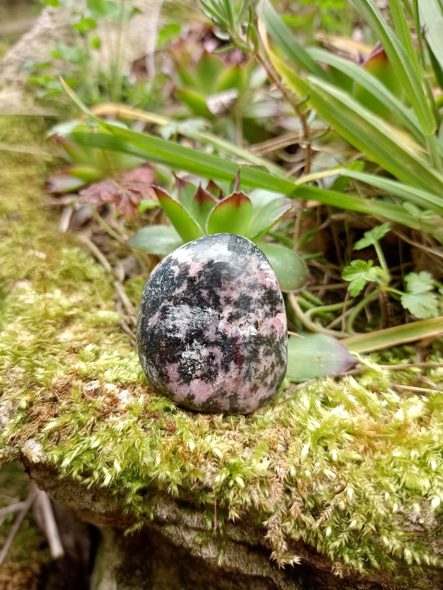 Rhodonite Pebble