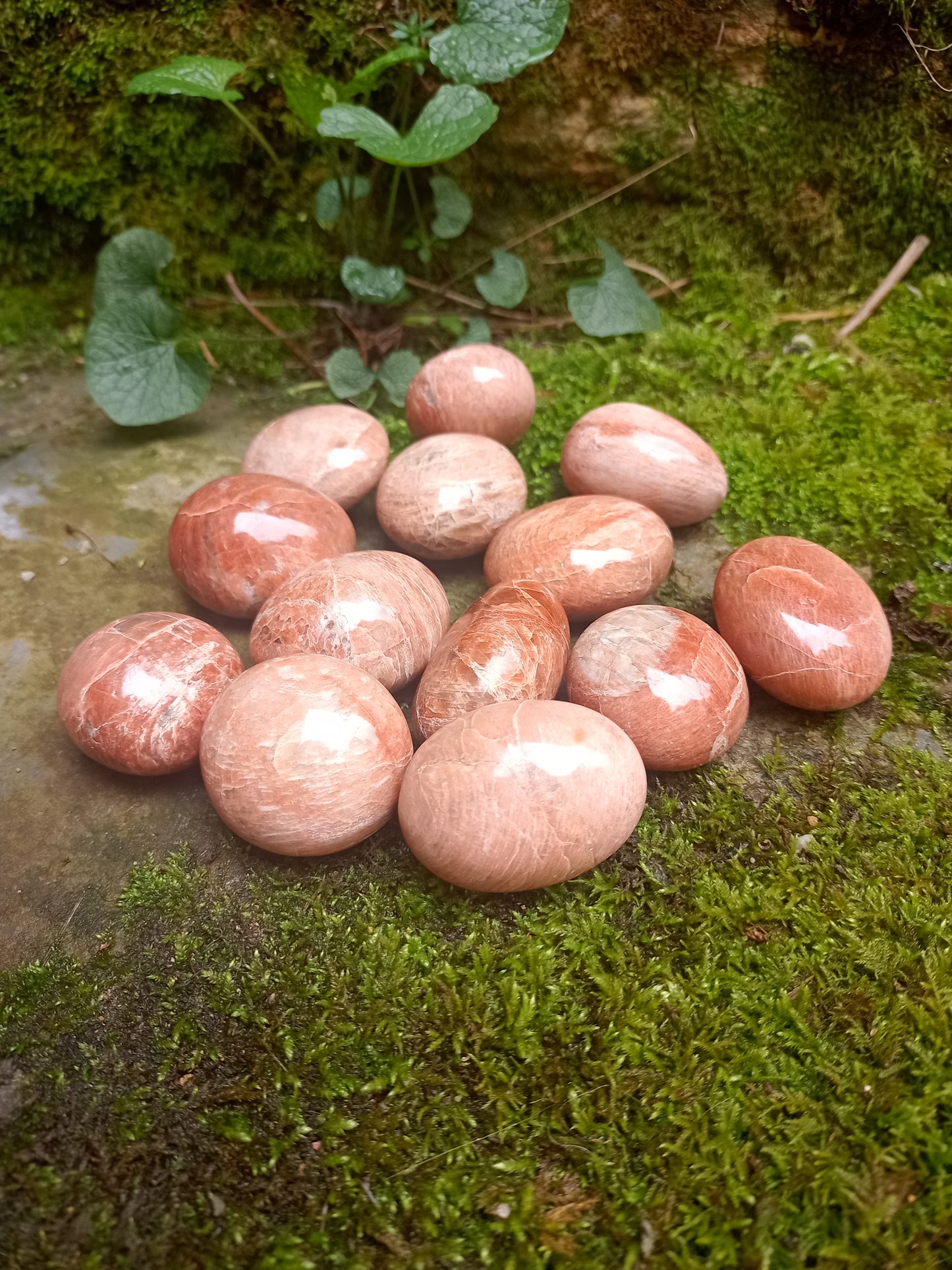 Orange Moonstone Pebble