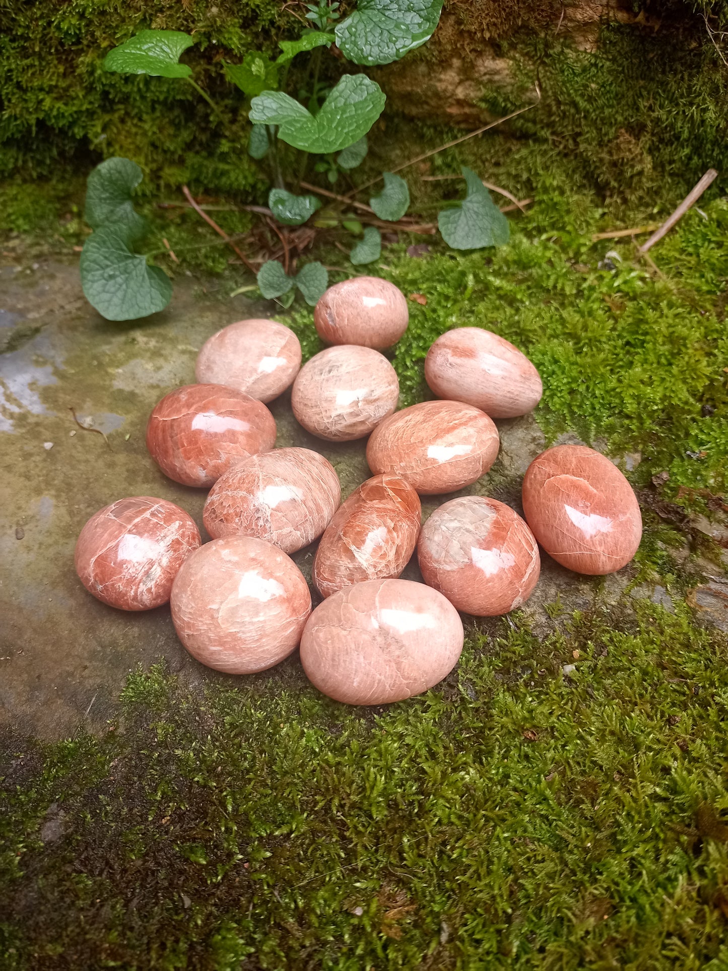 Orange Moonstone Pebble