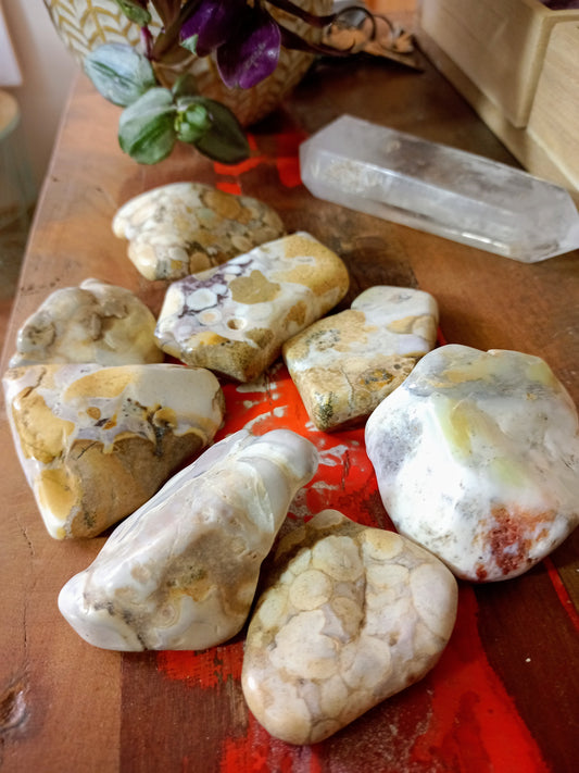 Pierre forme libre en Jaspe Orbiculaire beige