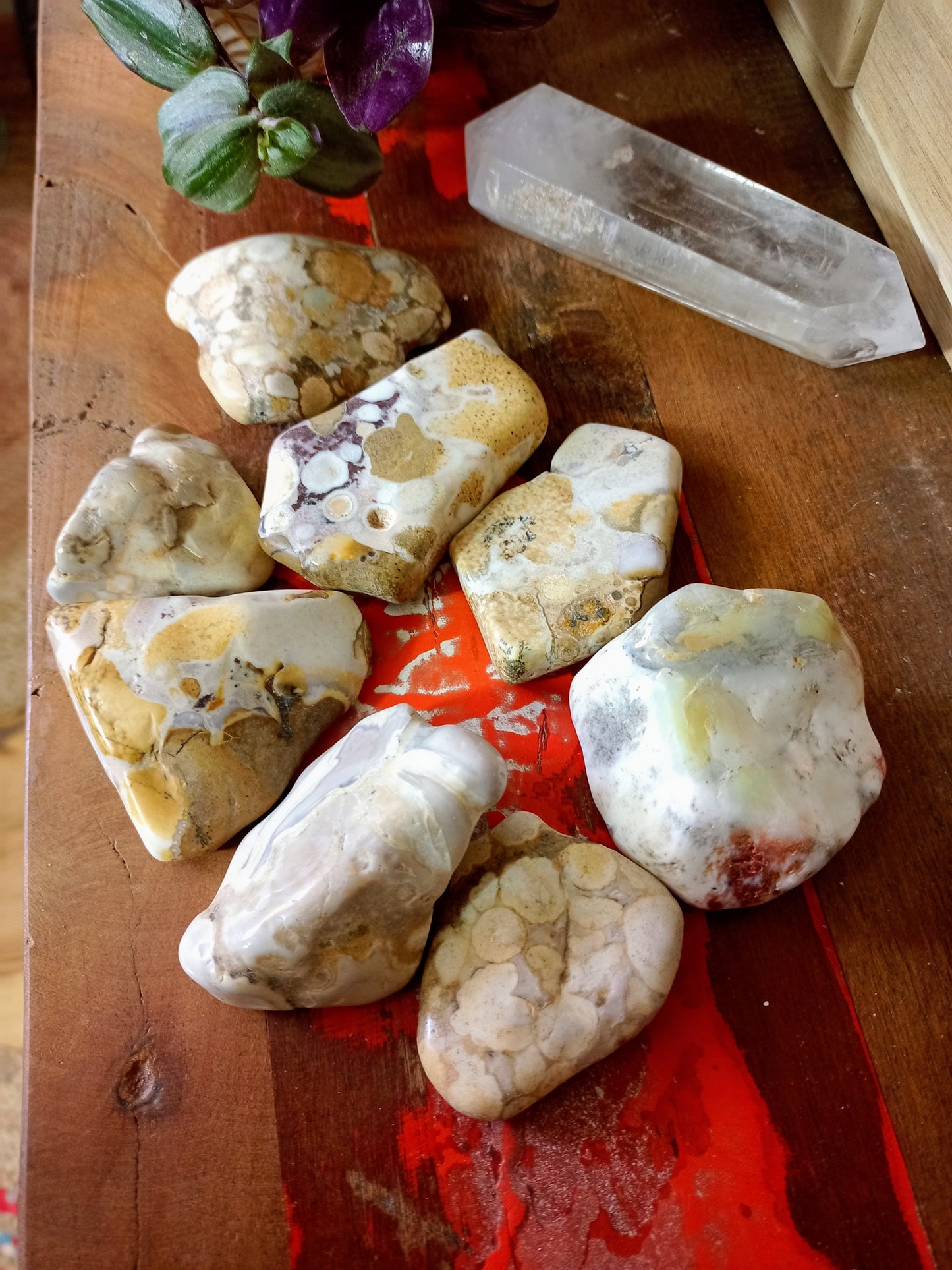 Freeform stone in beige Orbicular Jasper
