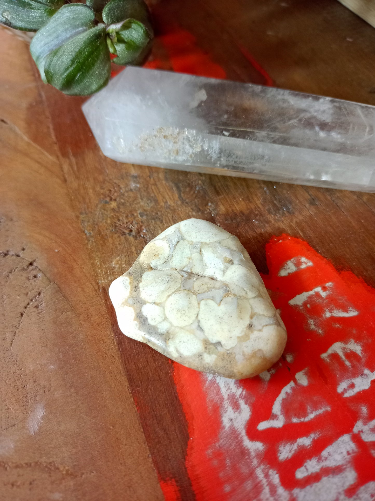 Freeform stone in beige Orbicular Jasper