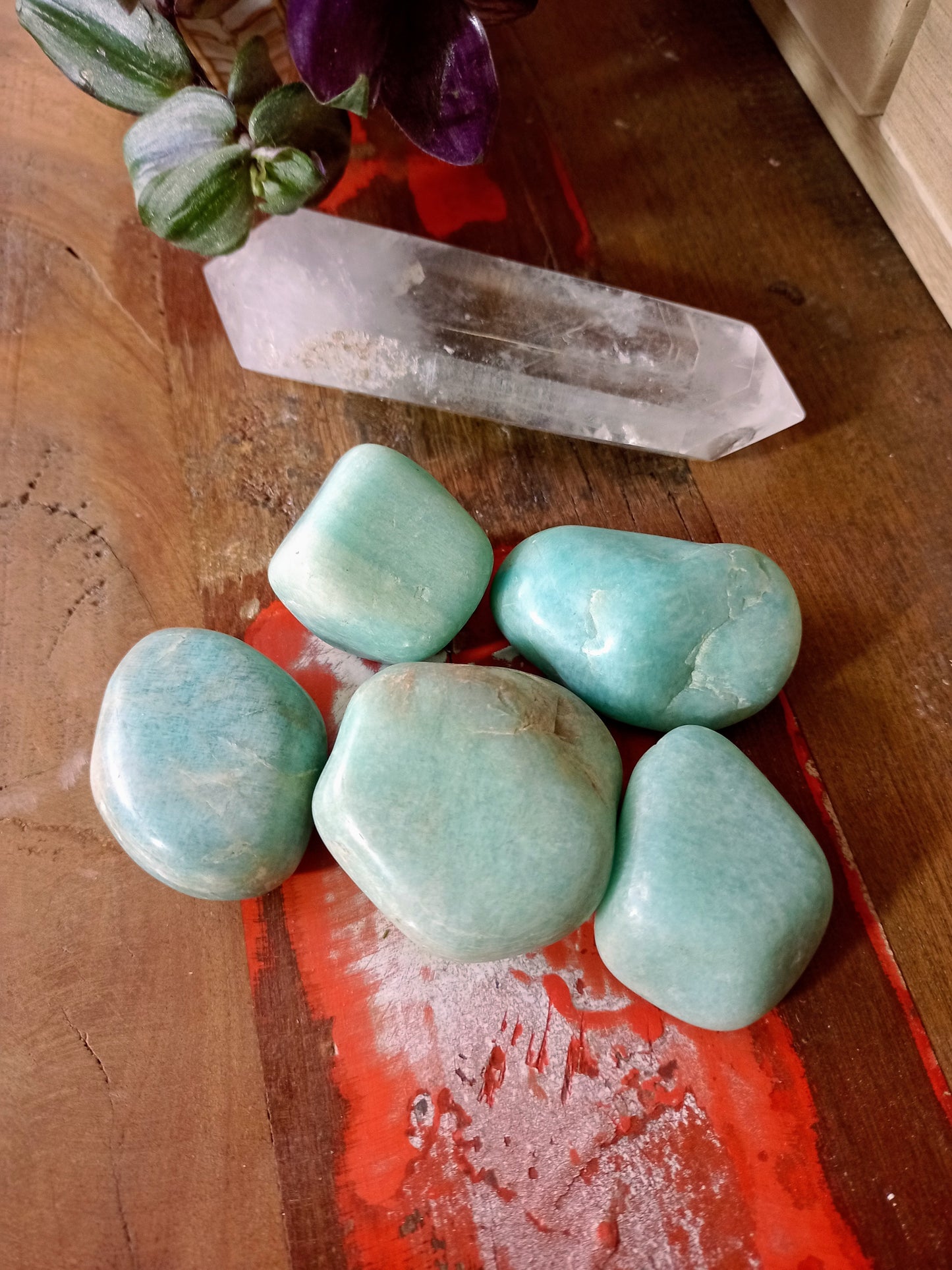 Polished Amazonite Freeform Stones