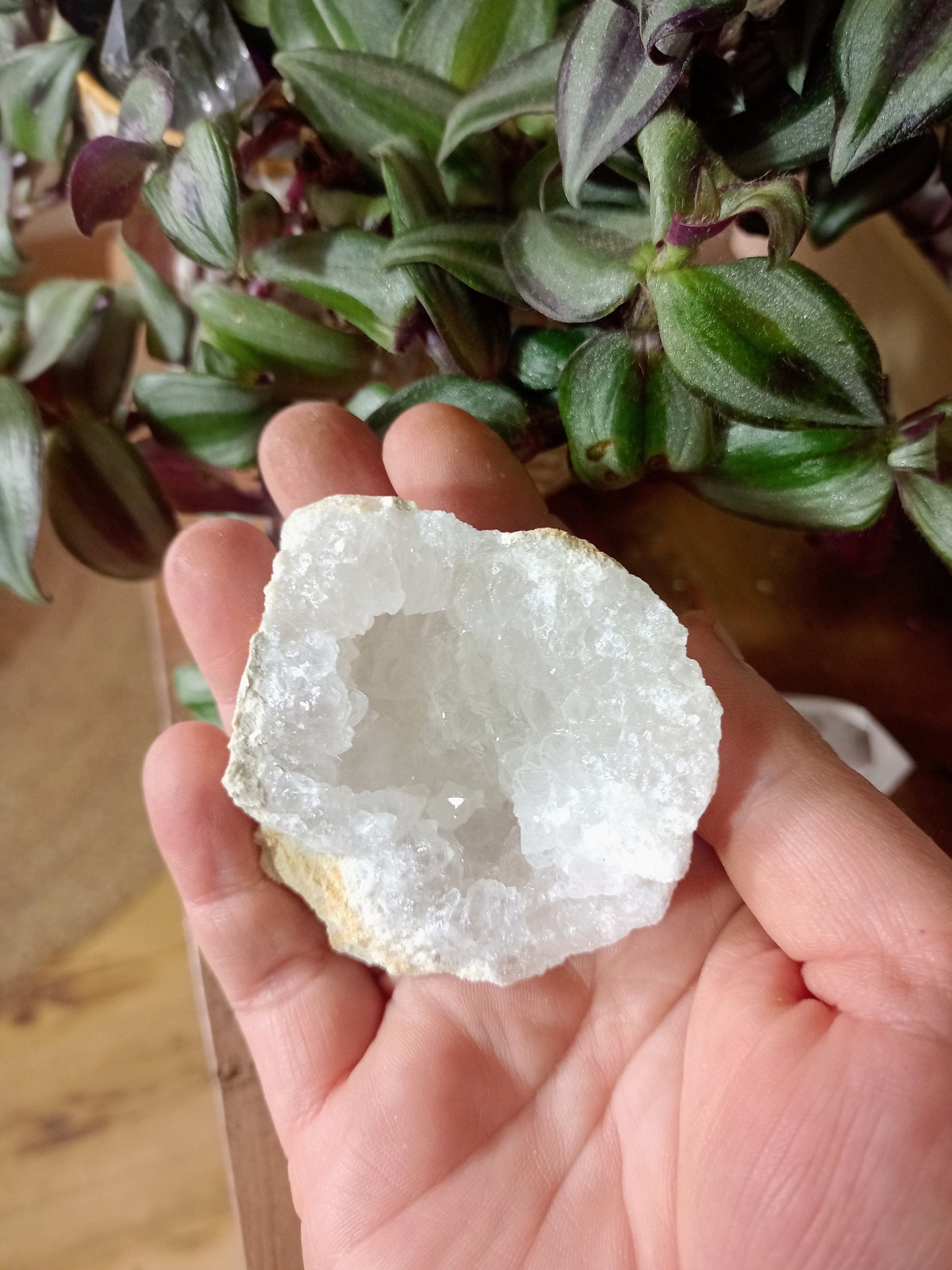 Clear Quartz Geode - Rock Crystal