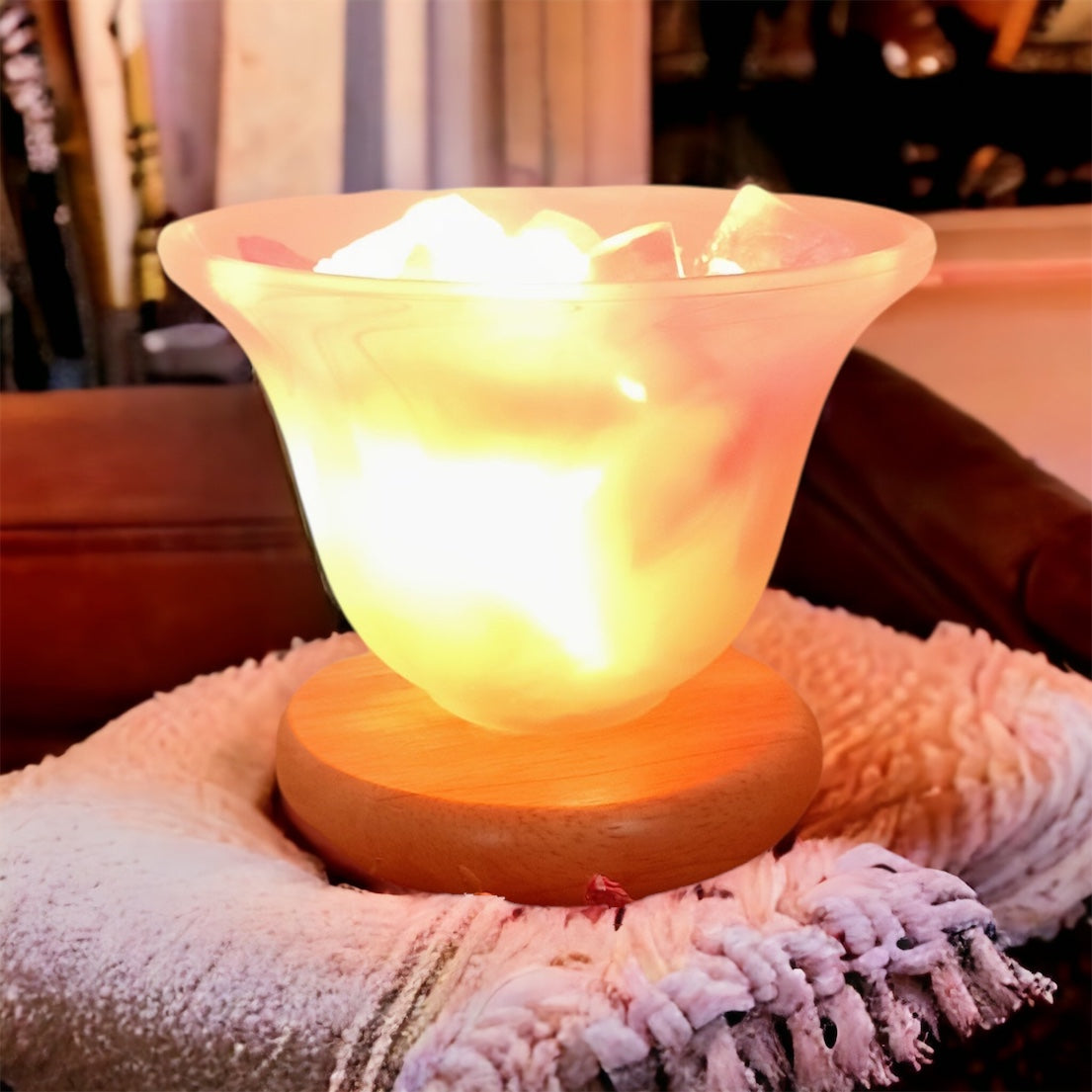 Amethyst & Salt Crystal Lamp