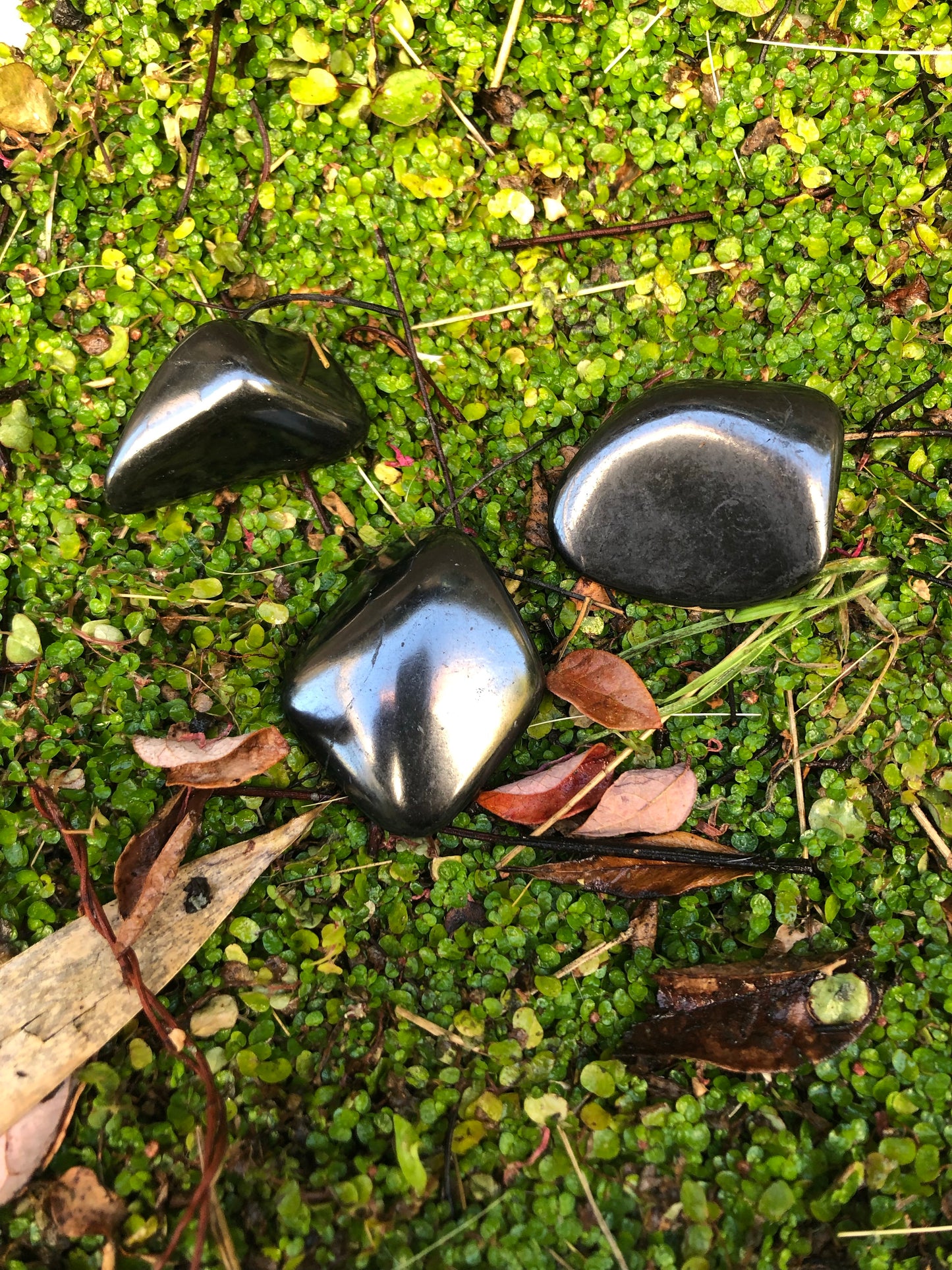 Shungite Tumbled Stone