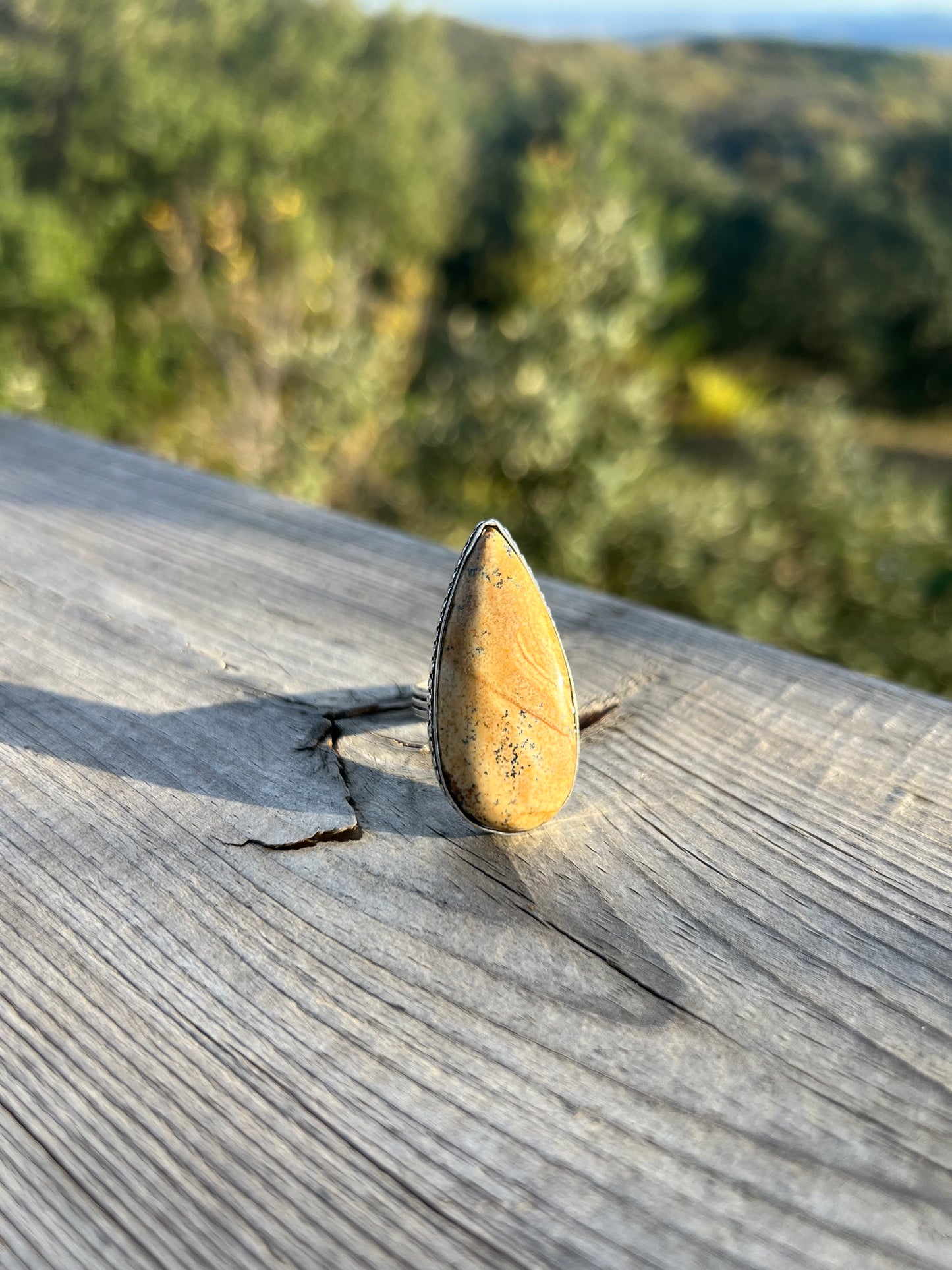 Bague en Jaspe paysage taille 67