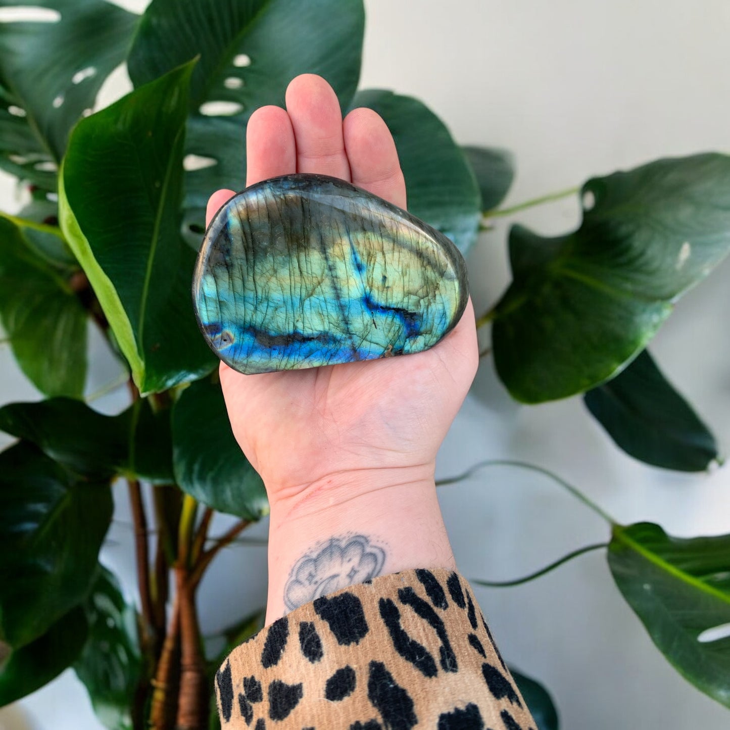 Bloc de Labradorite polie