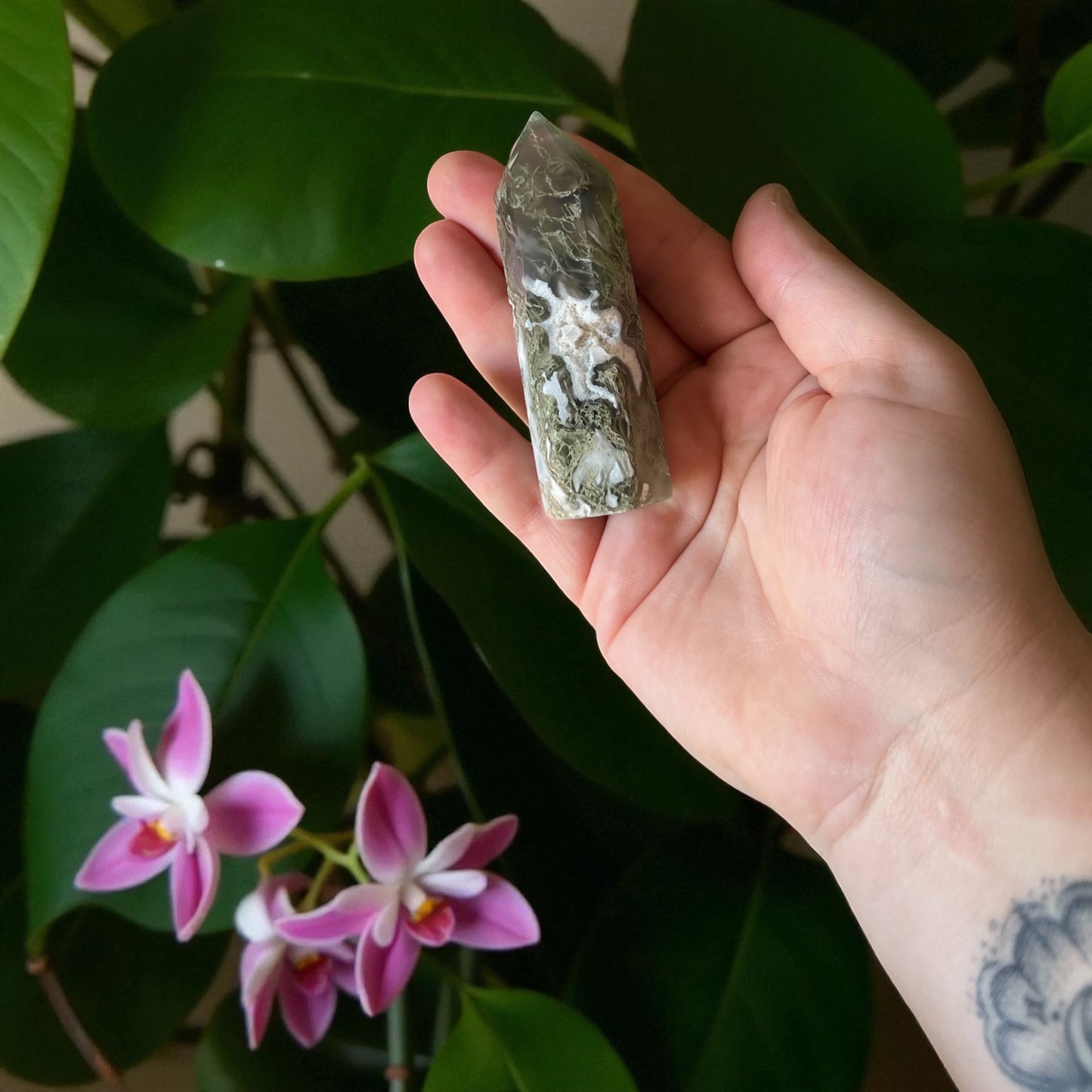 Pointe en Agate mousse