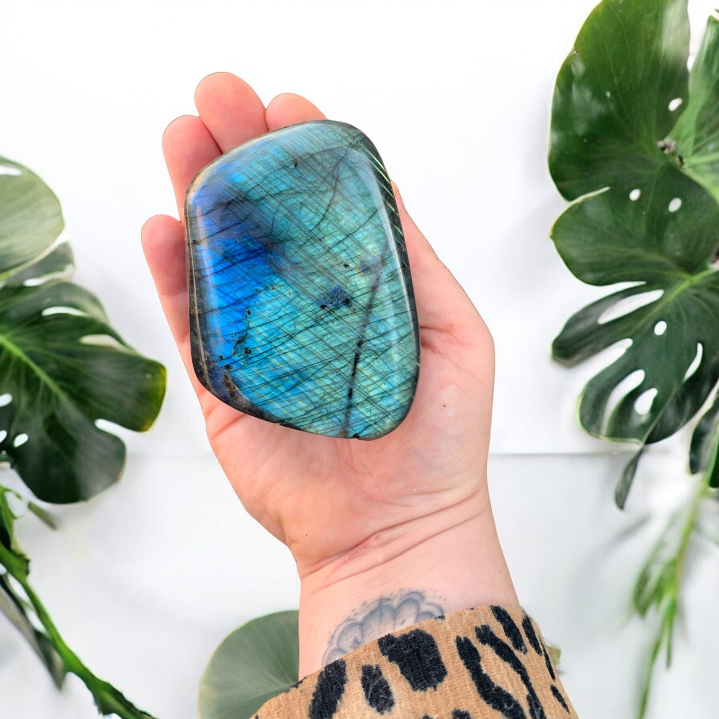 Bloc de Labradorite polie