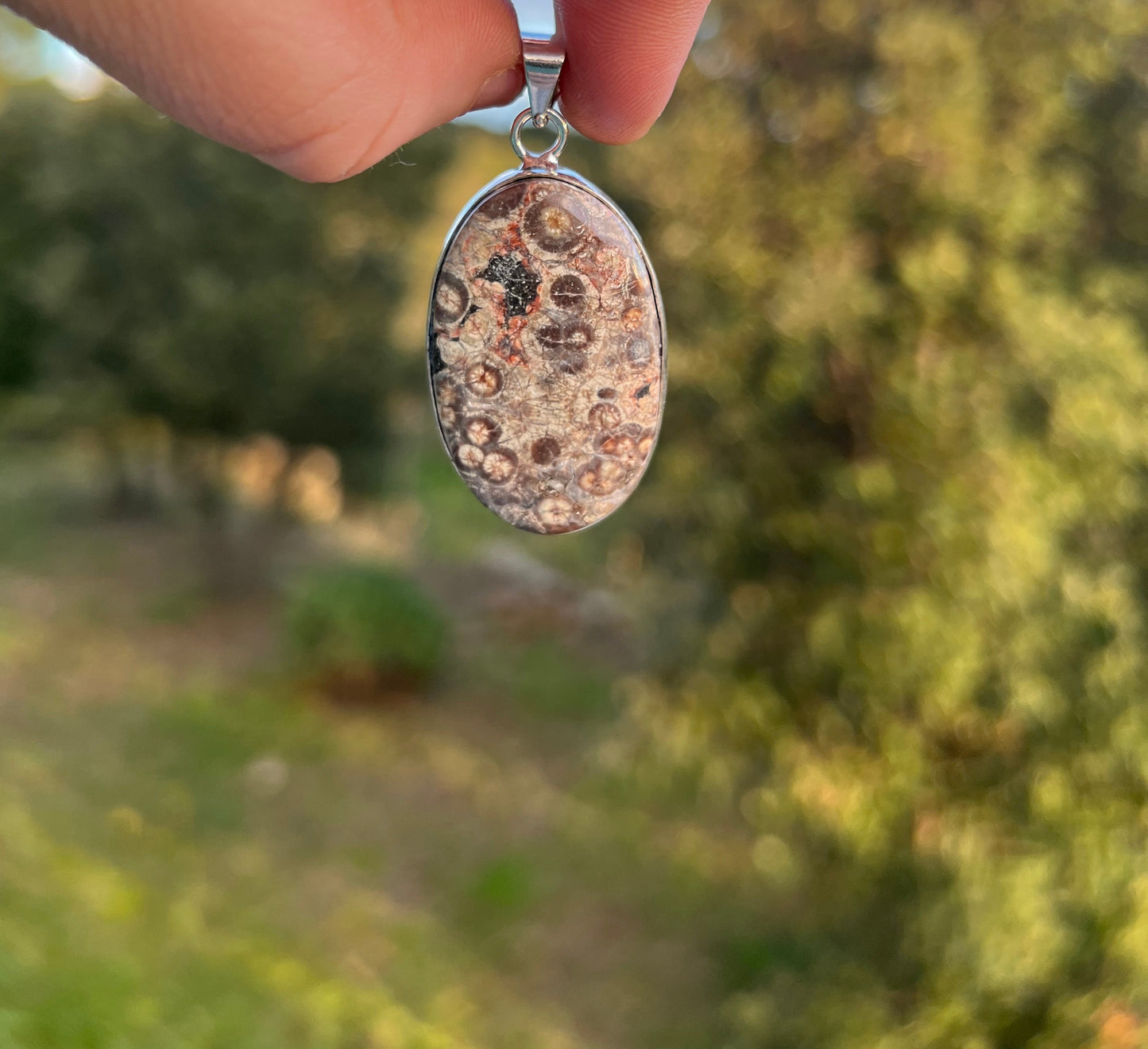 Pendentif en Jaspe Tortue