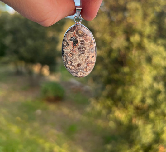 Pendentif en Jaspe Tortue